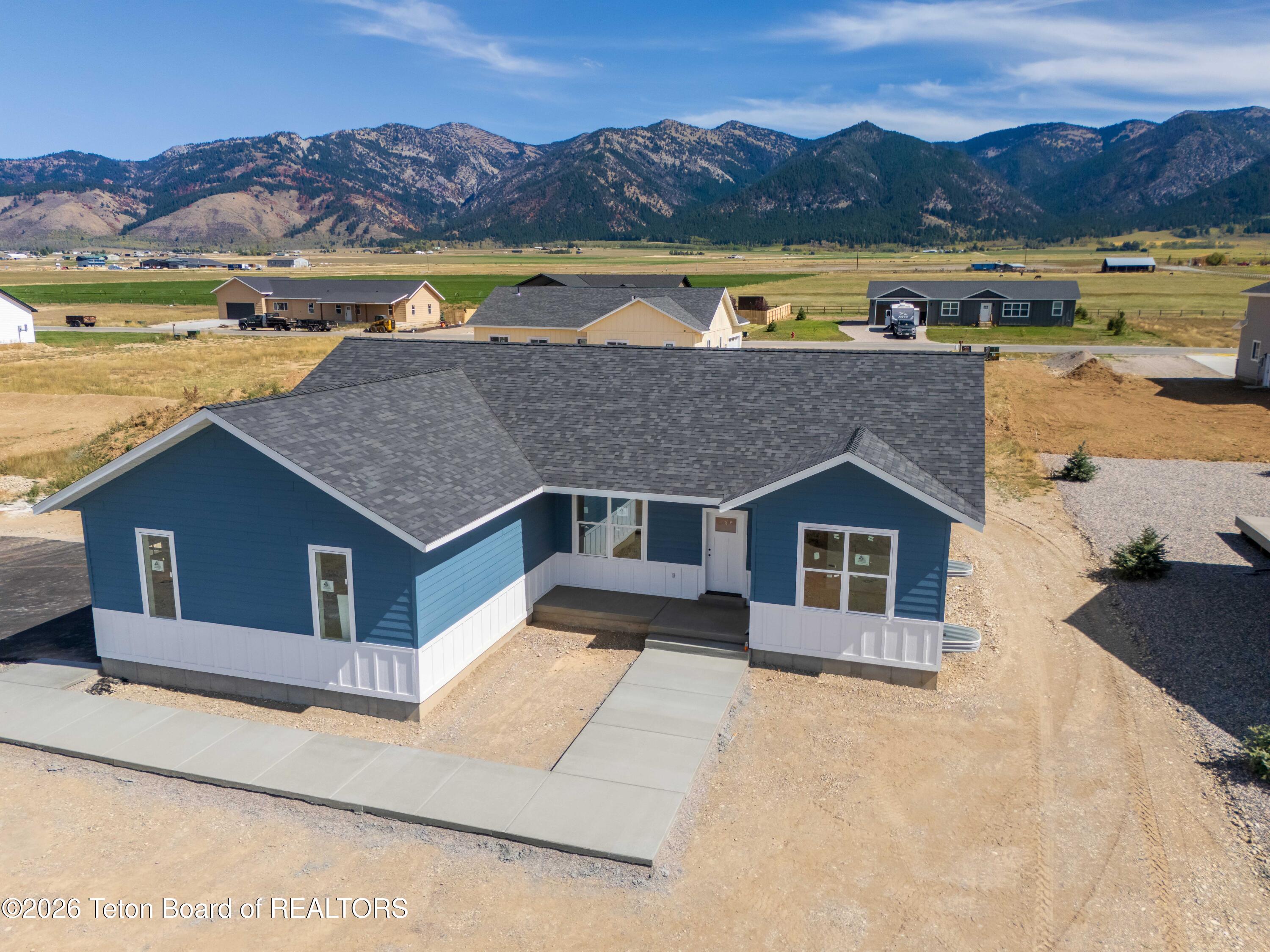 576 LITTLE GREYS Loop