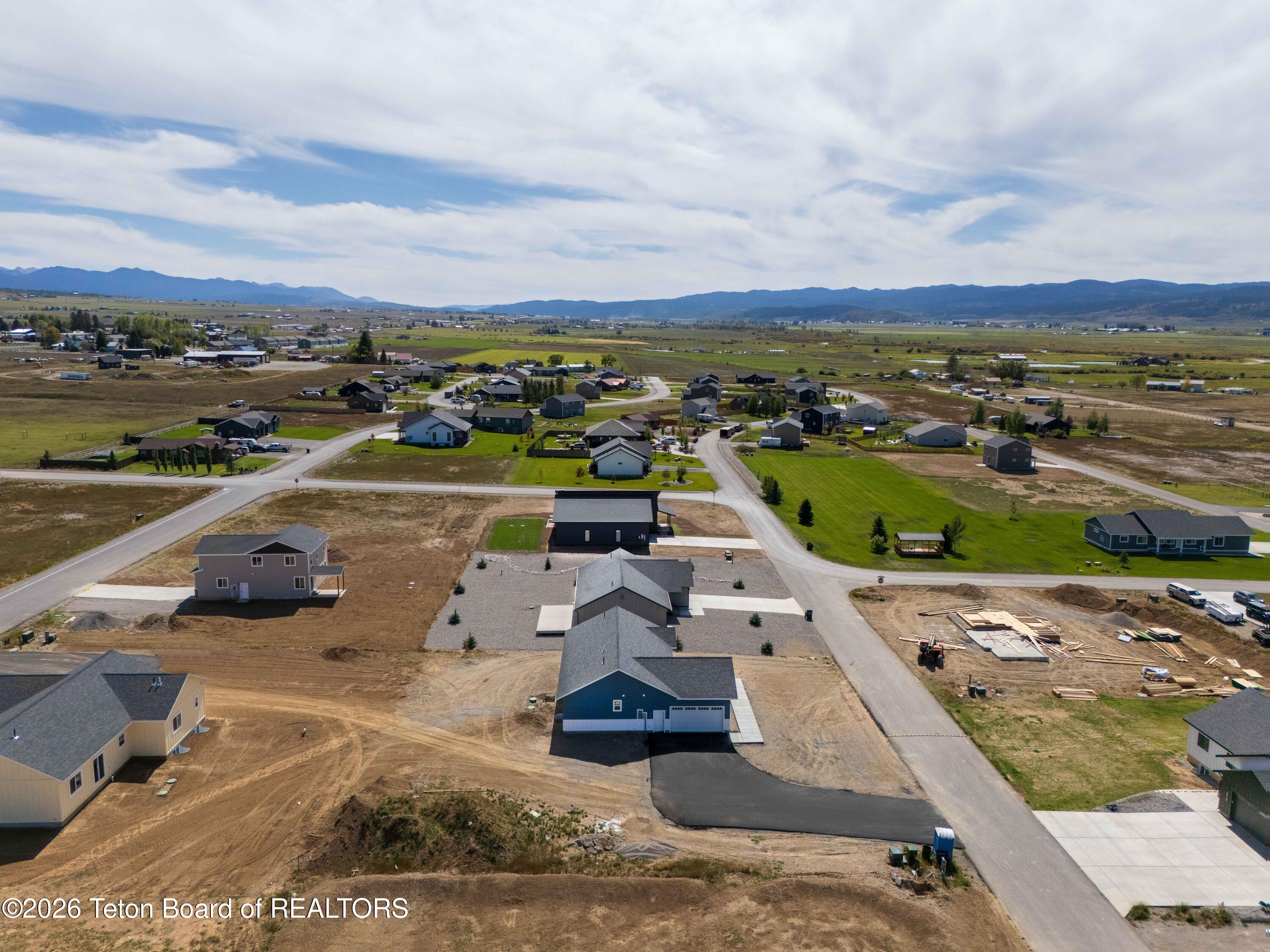 576 LITTLE GREYS Loop