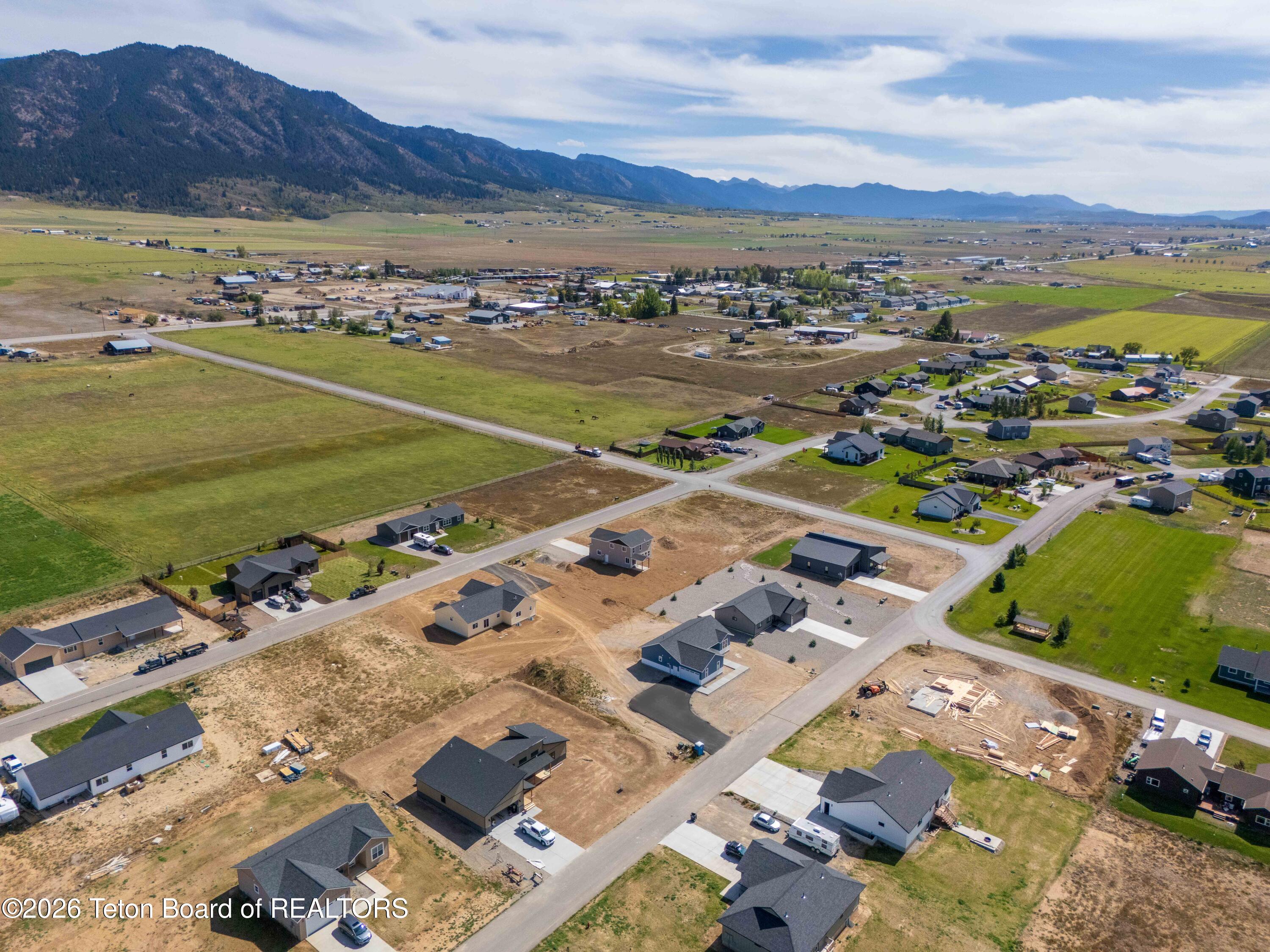 576 LITTLE GREYS Loop
