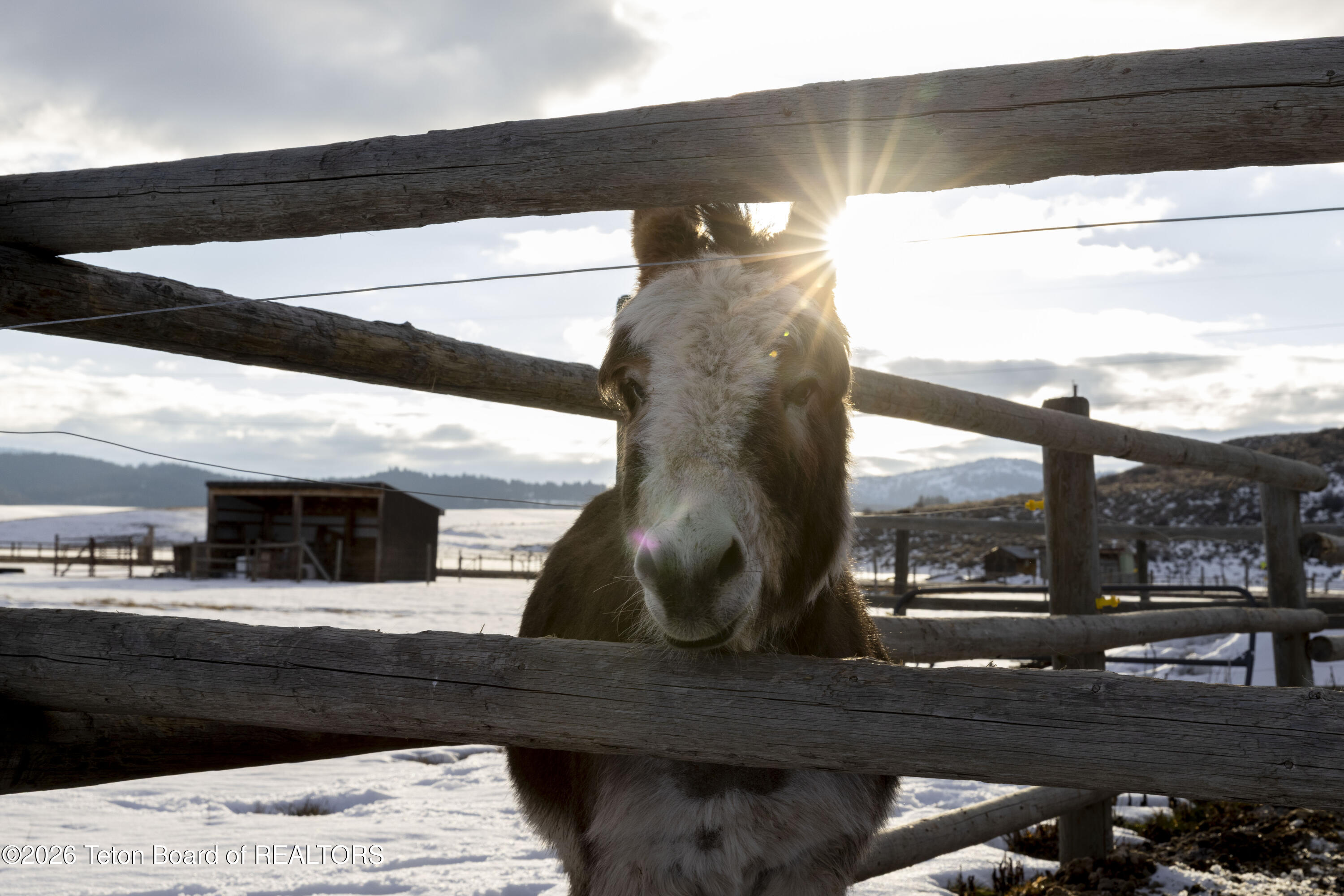 5352 COUNTY ROAD 114