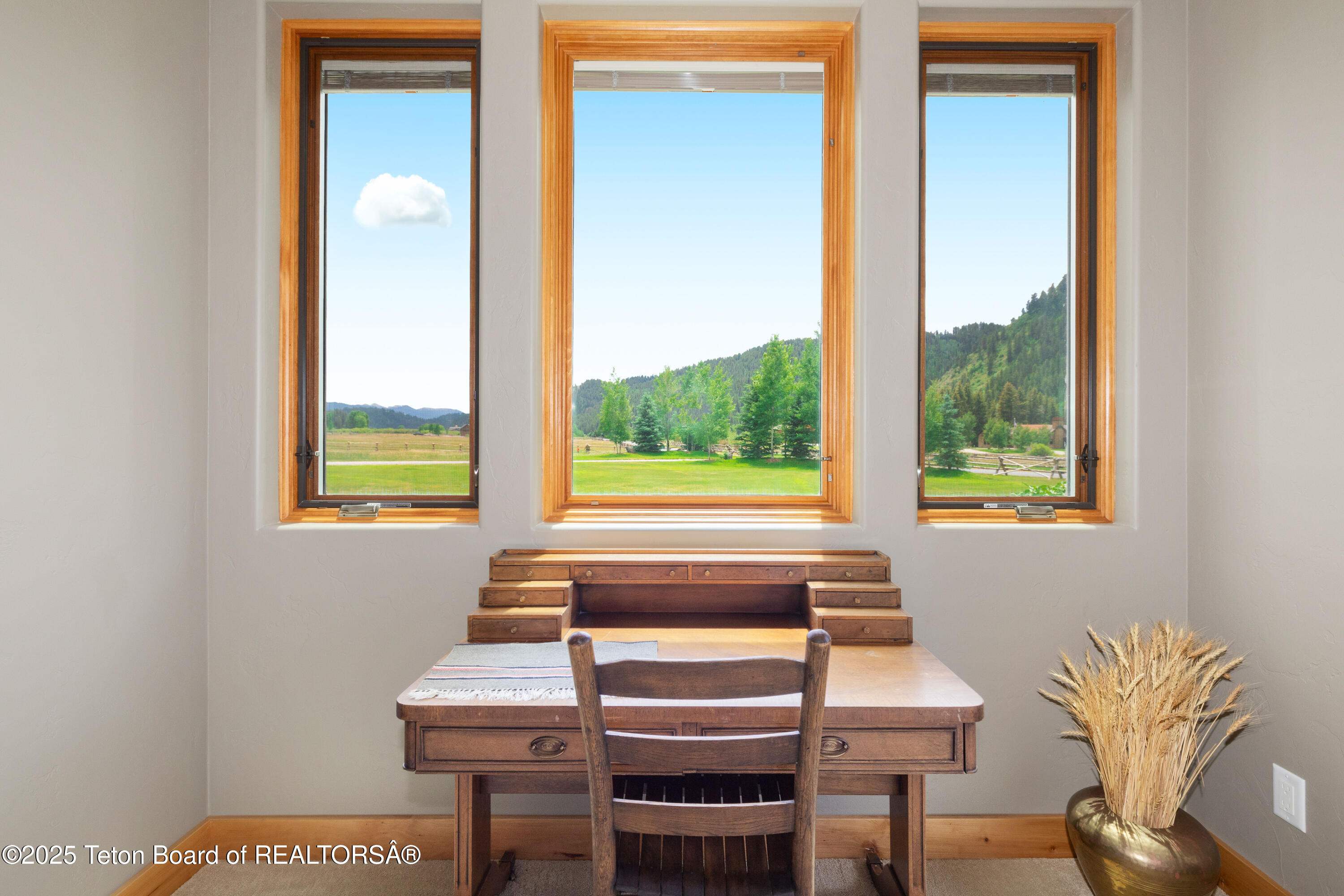 293 SALT RIVER RANCH Lane