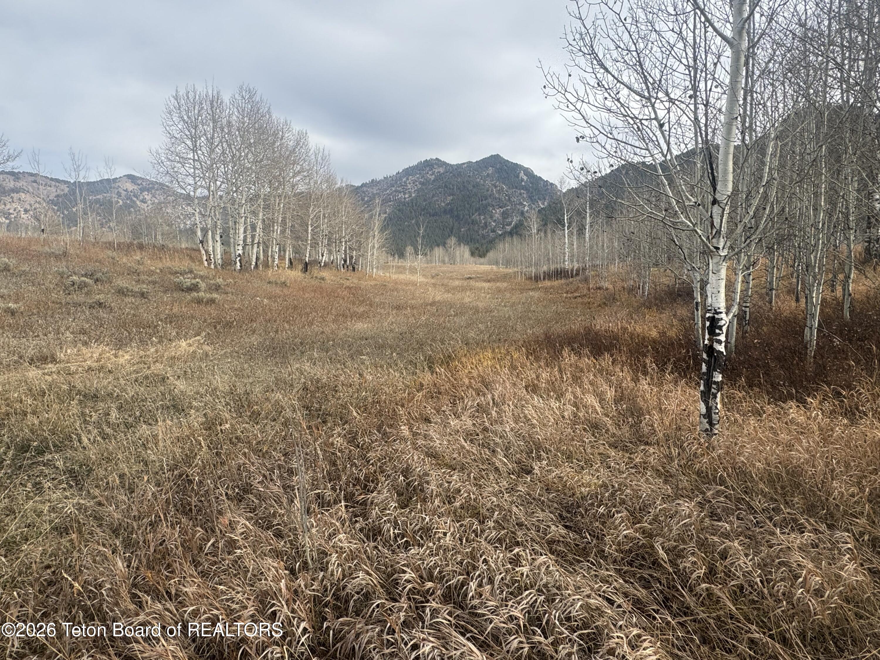 NYA 40 ACRES STEWART CREEK