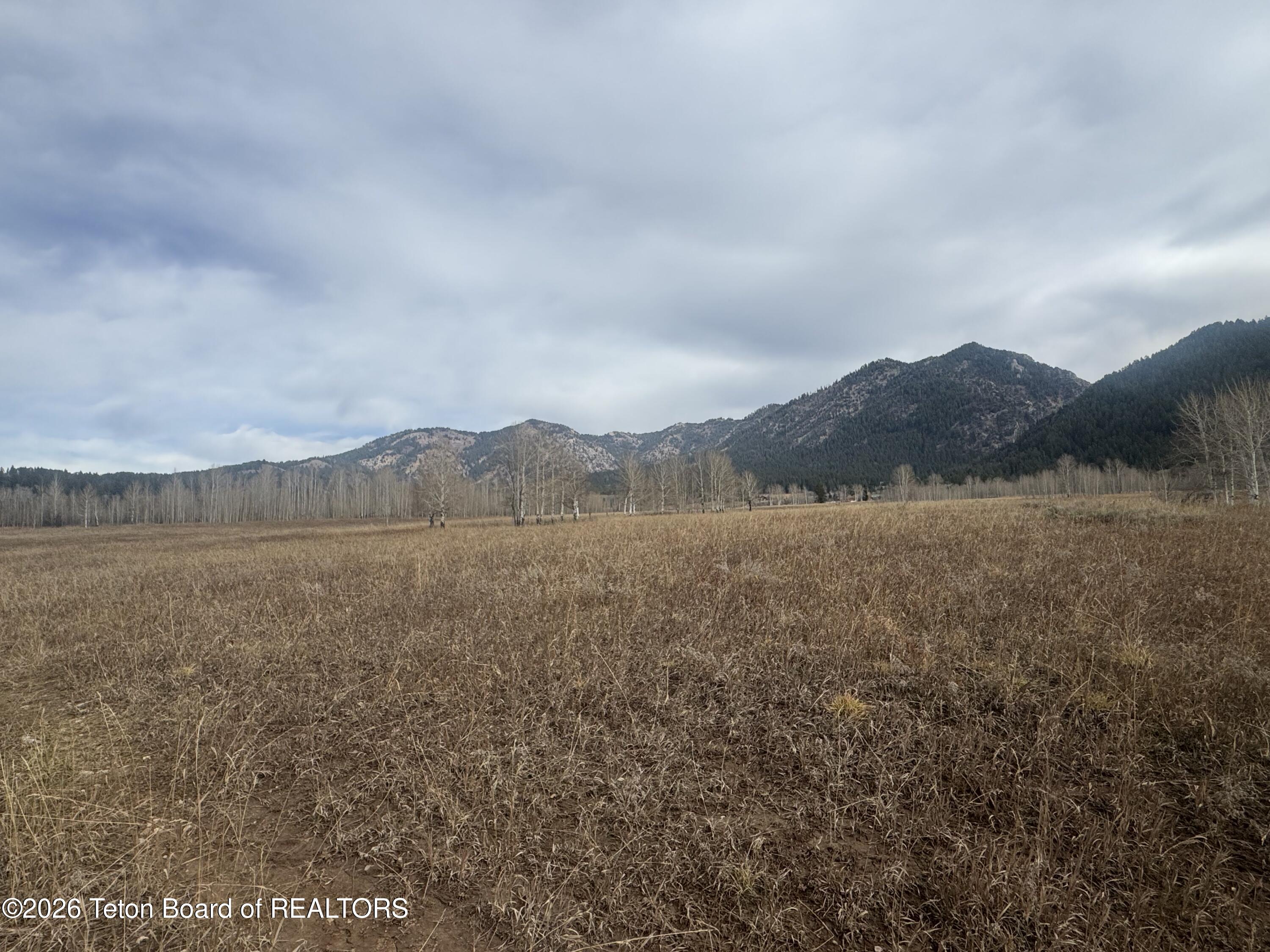 NYA 40 ACRES STEWART CREEK