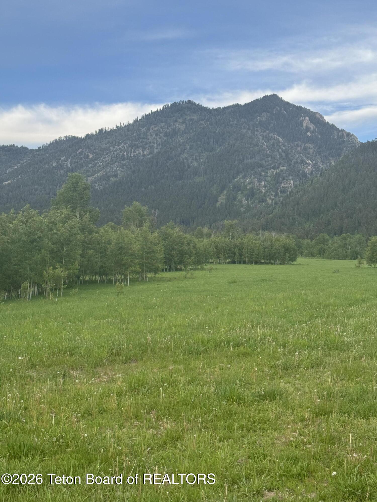 NYA 40 ACRES STEWART CREEK