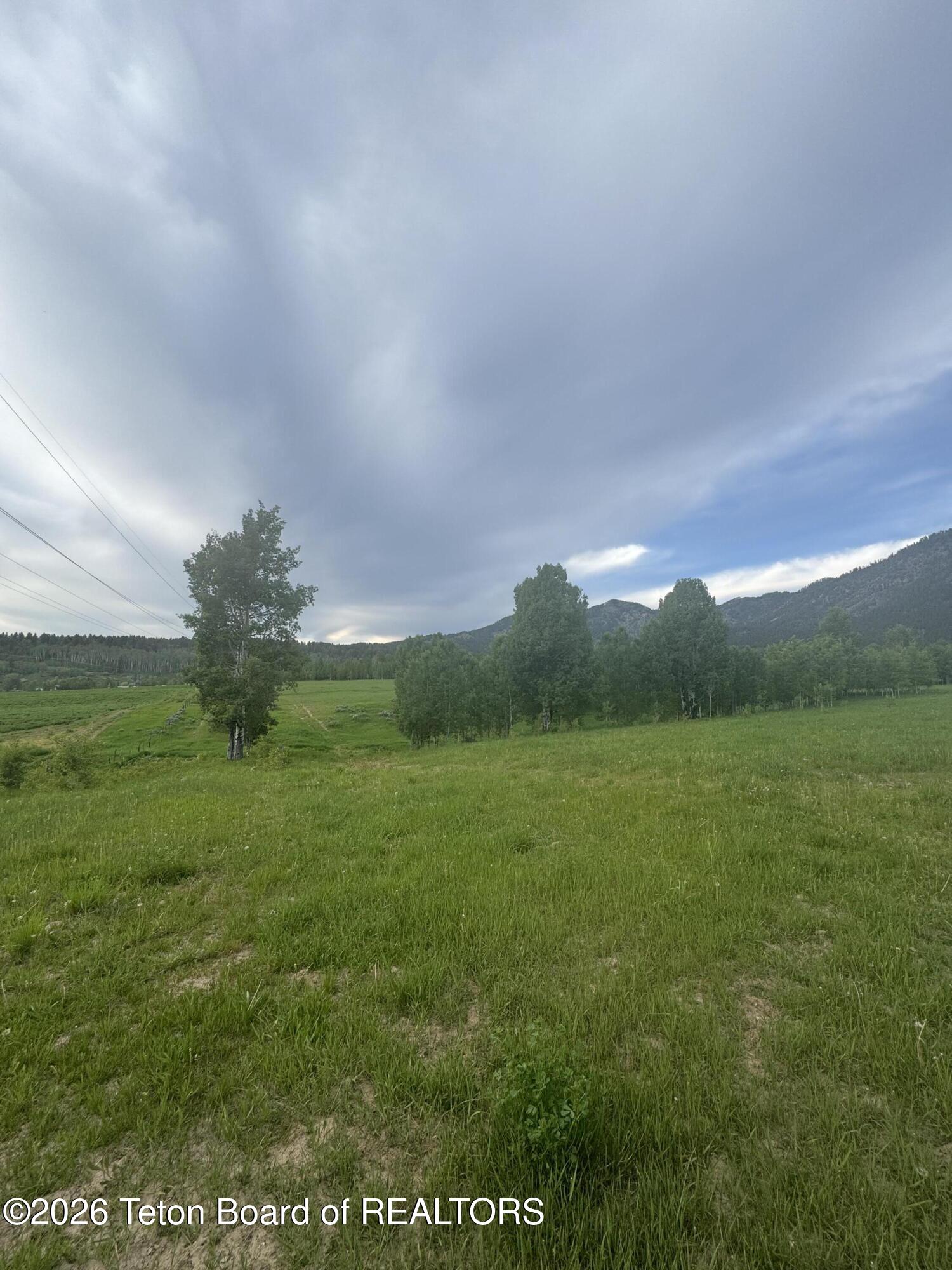 NYA 40 ACRES STEWART CREEK