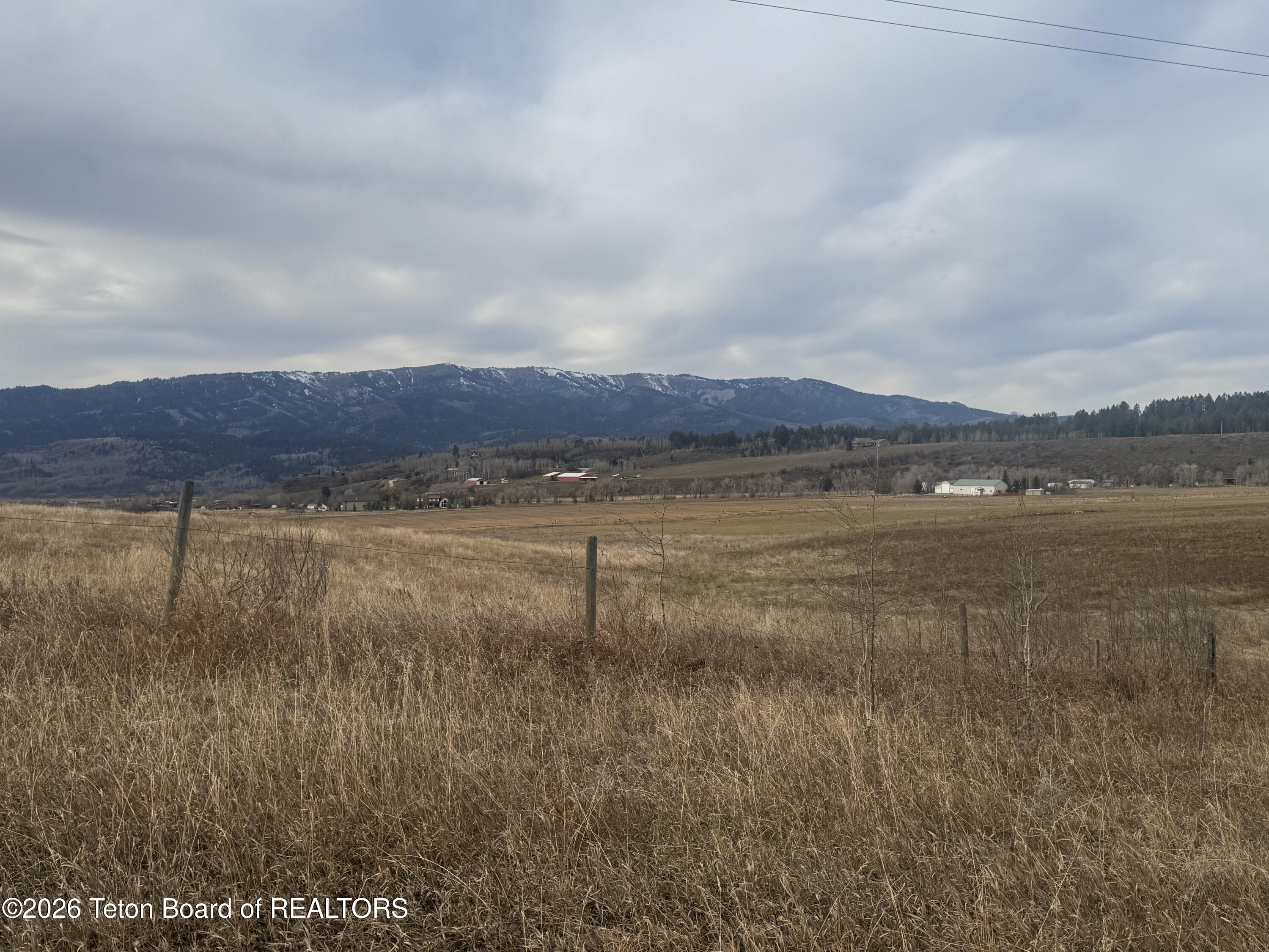 NYA 40 ACRES STEWART CREEK