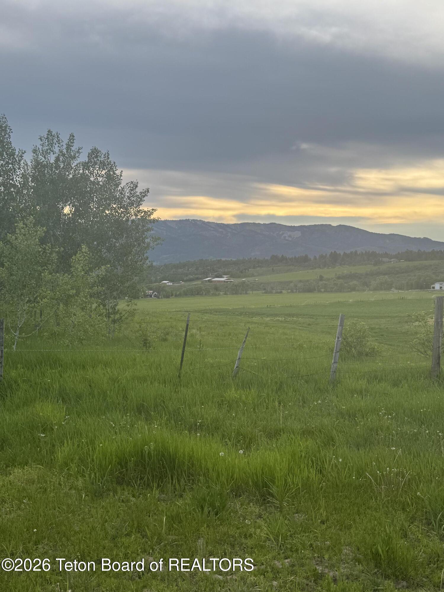 NYA 40 ACRES STEWART CREEK