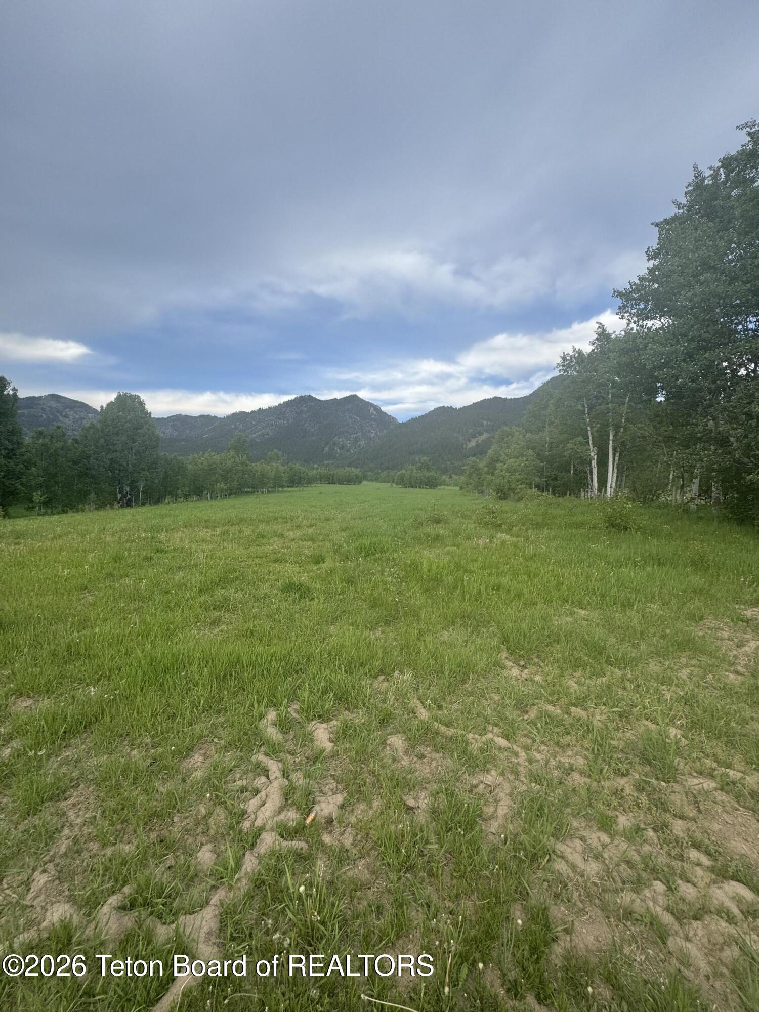 NYA 40 ACRES STEWART CREEK