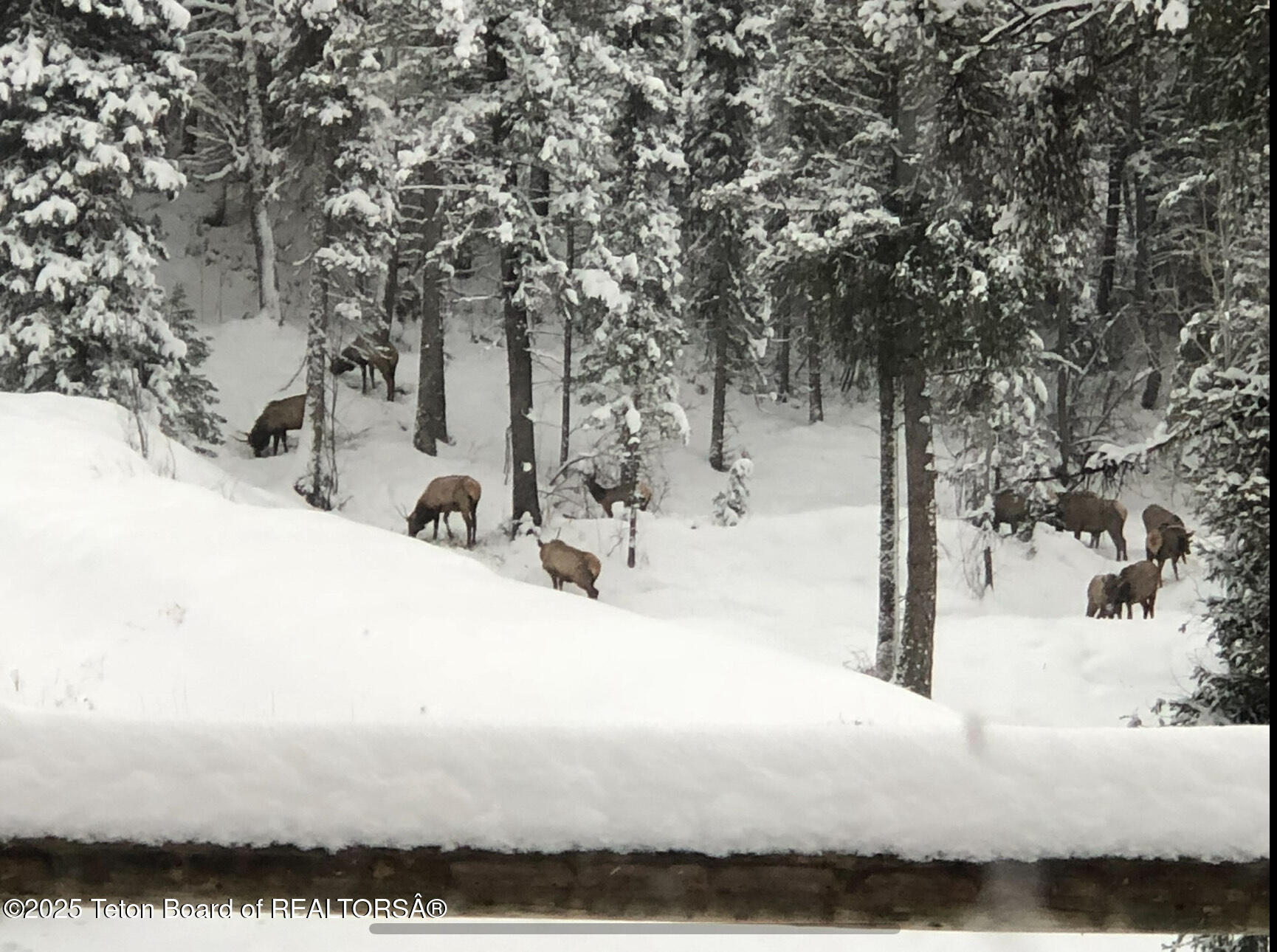 2883 STEWART TRL Road