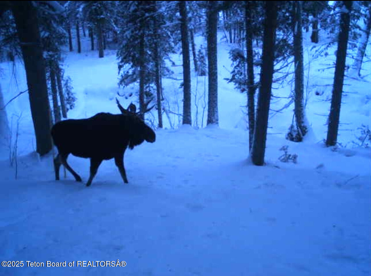 2883 STEWART TRL Road