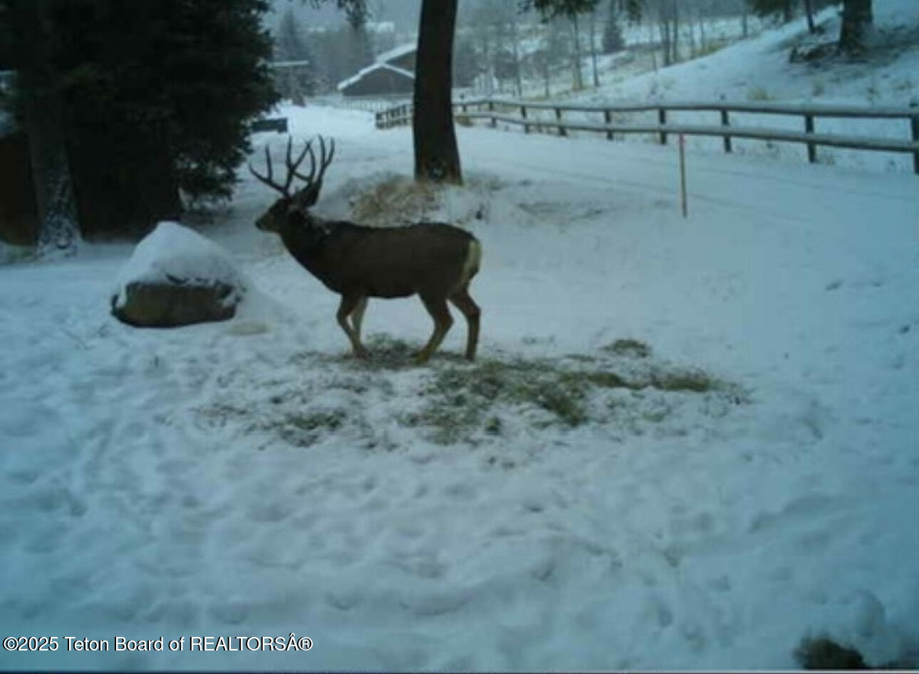 2883 STEWART TRL Road