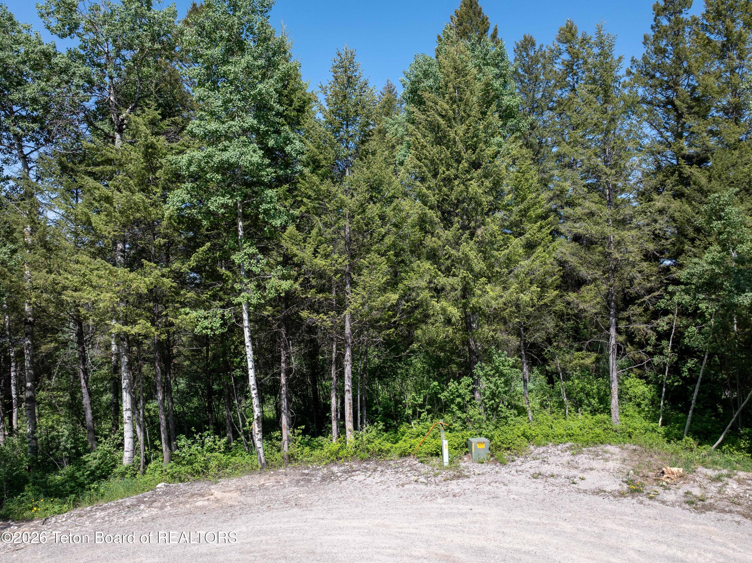 241 SPURWOOD Drive