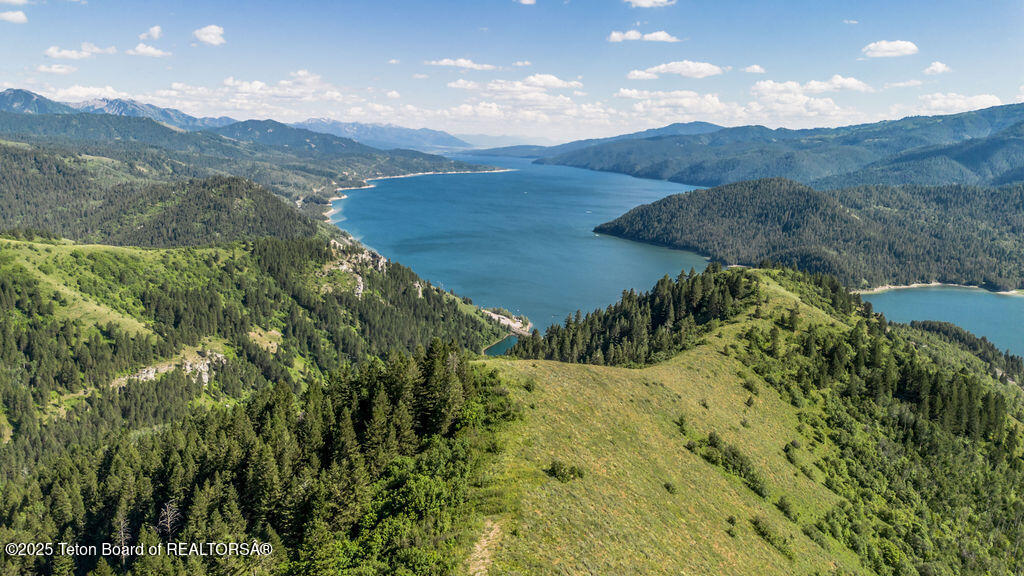 607 SHADY Lane