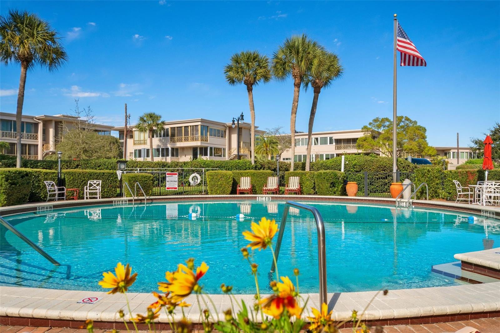 Condominium swimming pool with palm trees, lounge chairs, and an American flag.