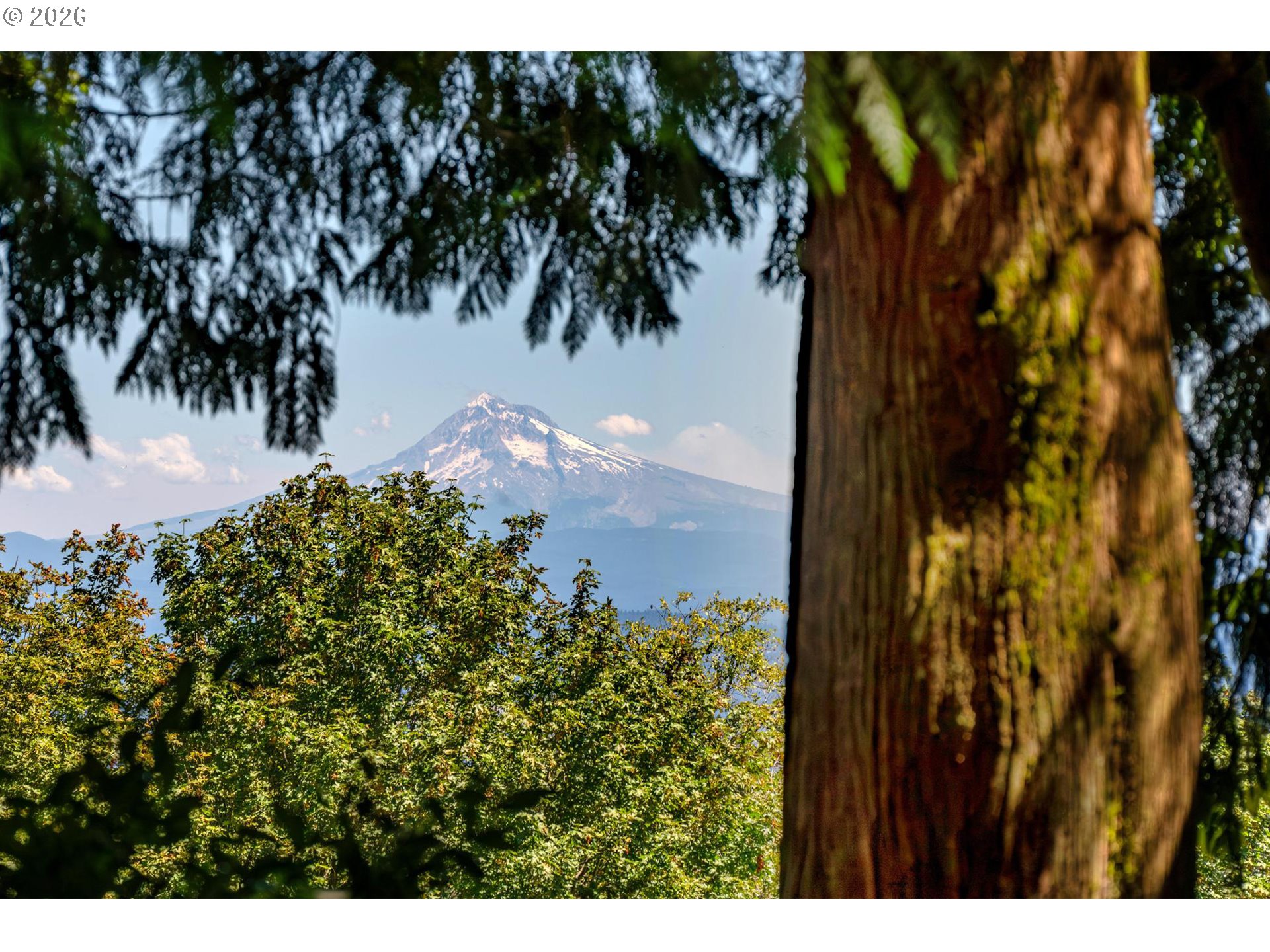 429 NW SKYLINE BLVD