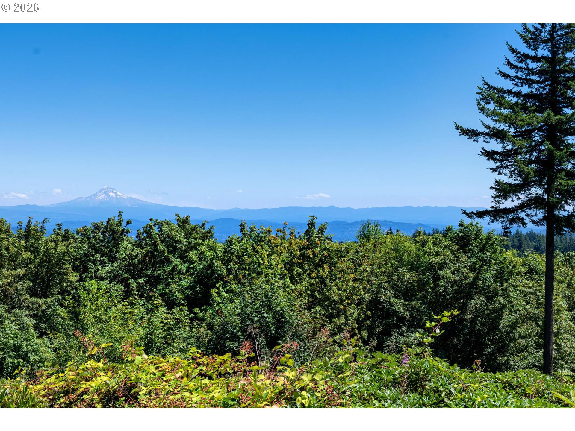 429 NW SKYLINE BLVD