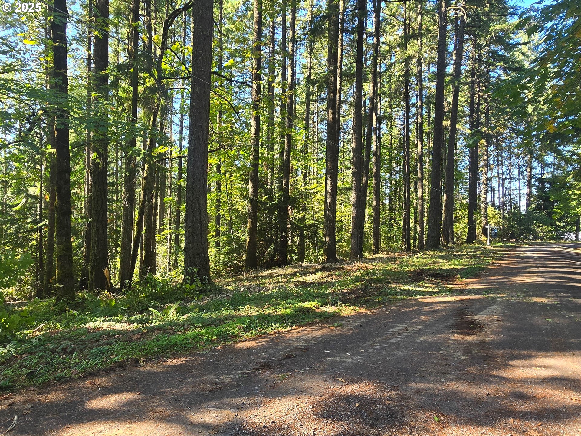 18675 SW FOREST PARK RD