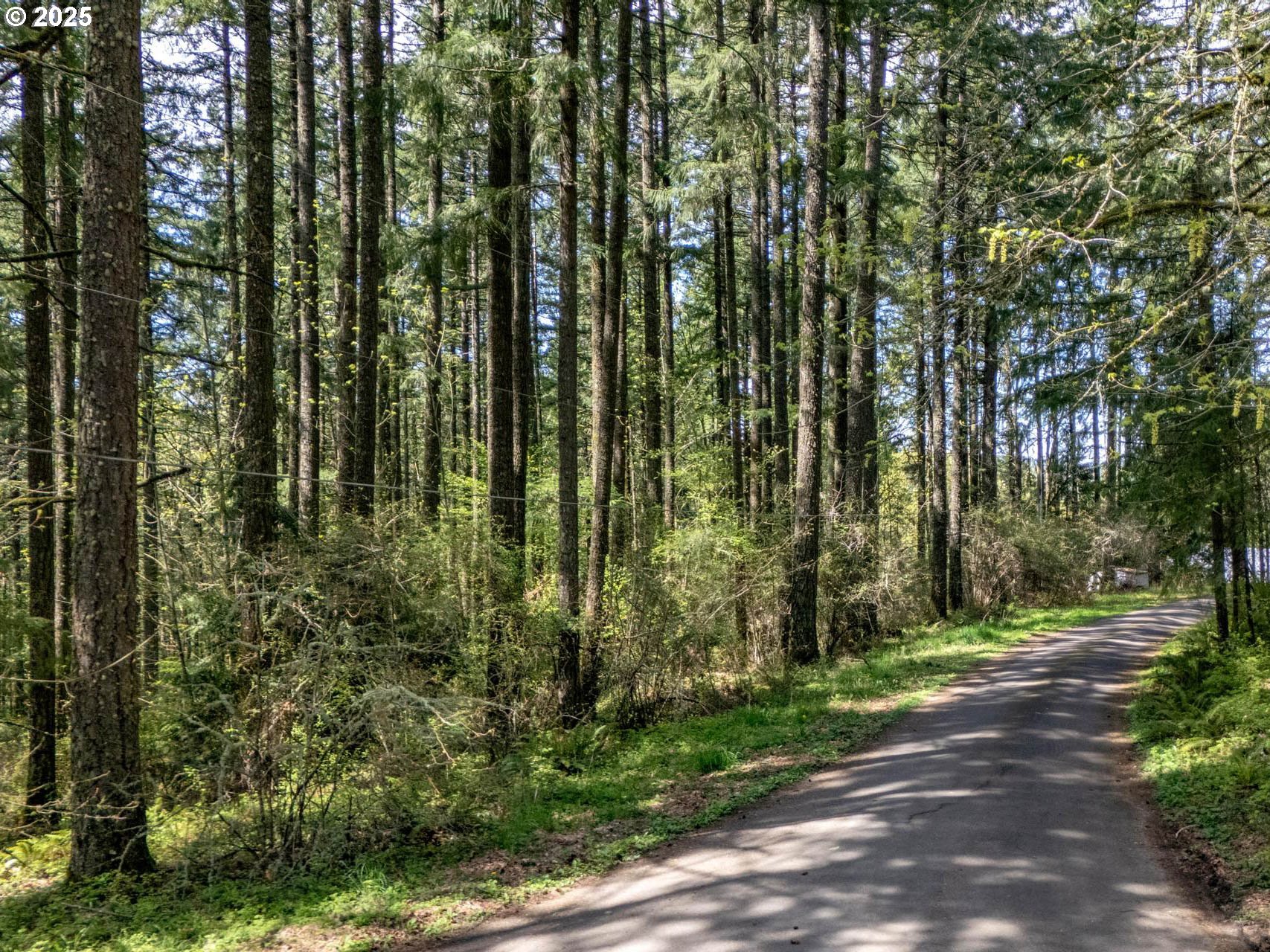 18675 SW FOREST PARK RD