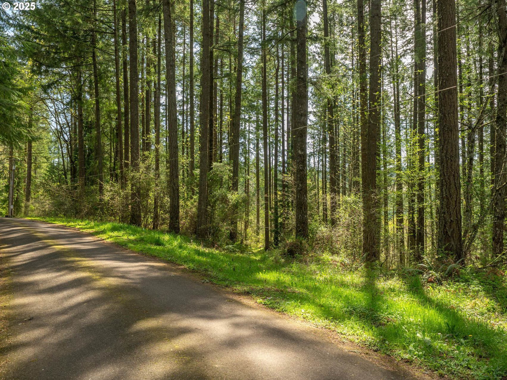 18675 SW FOREST PARK RD