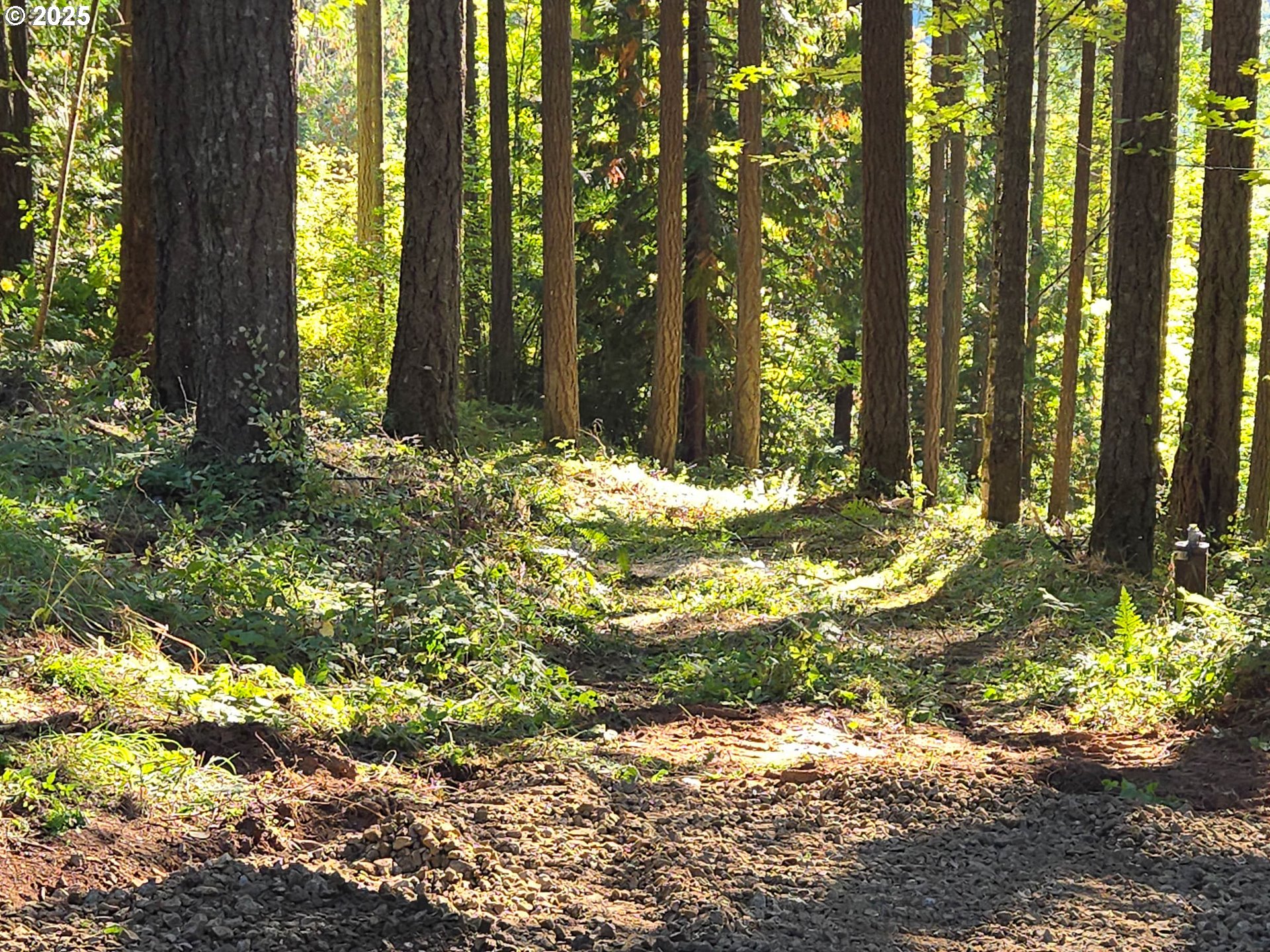 18675 SW FOREST PARK RD