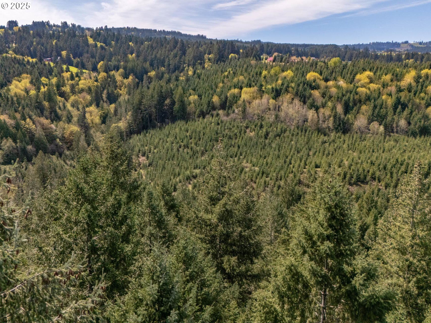 18675 SW FOREST PARK RD