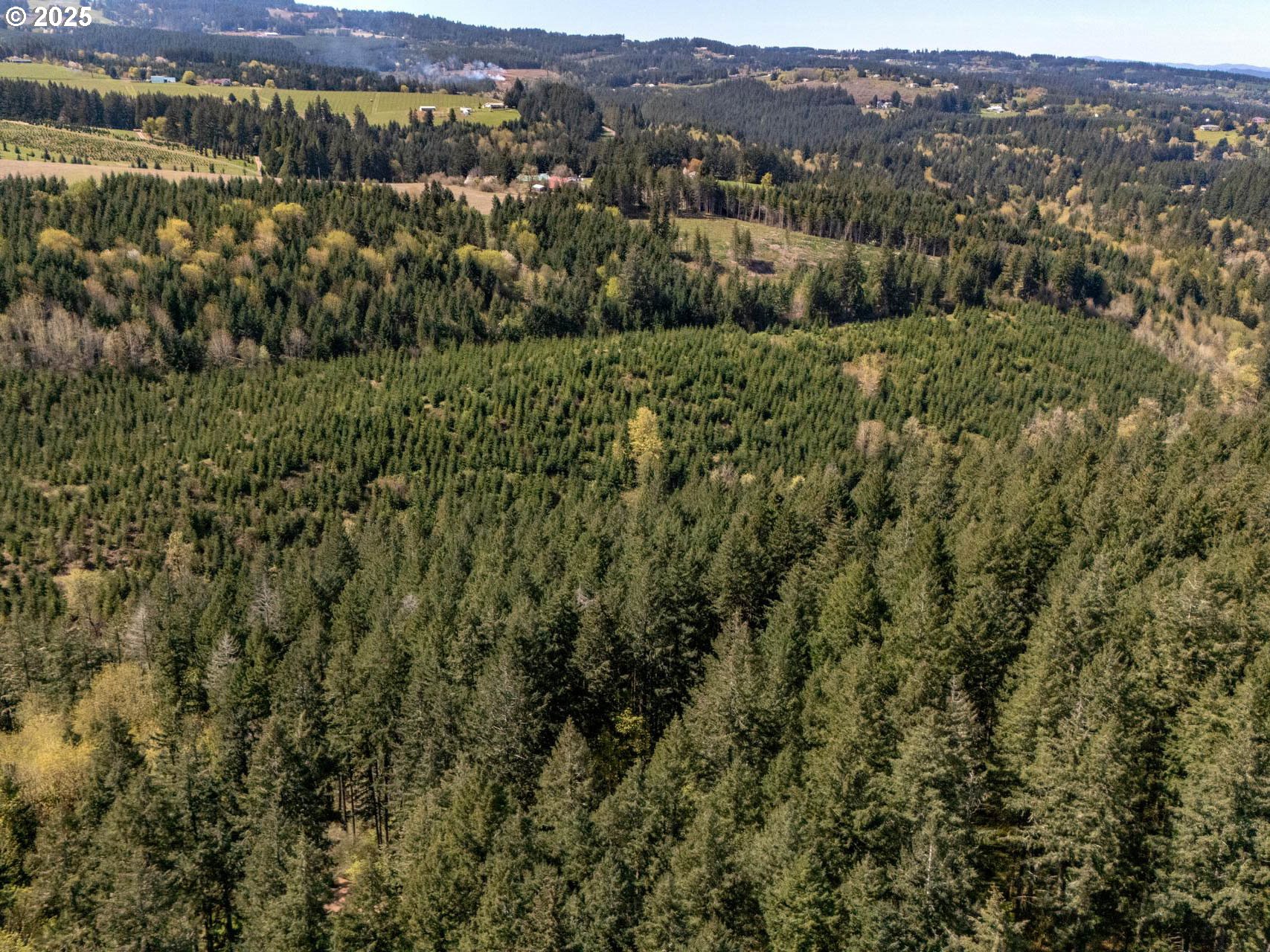 18675 SW FOREST PARK RD