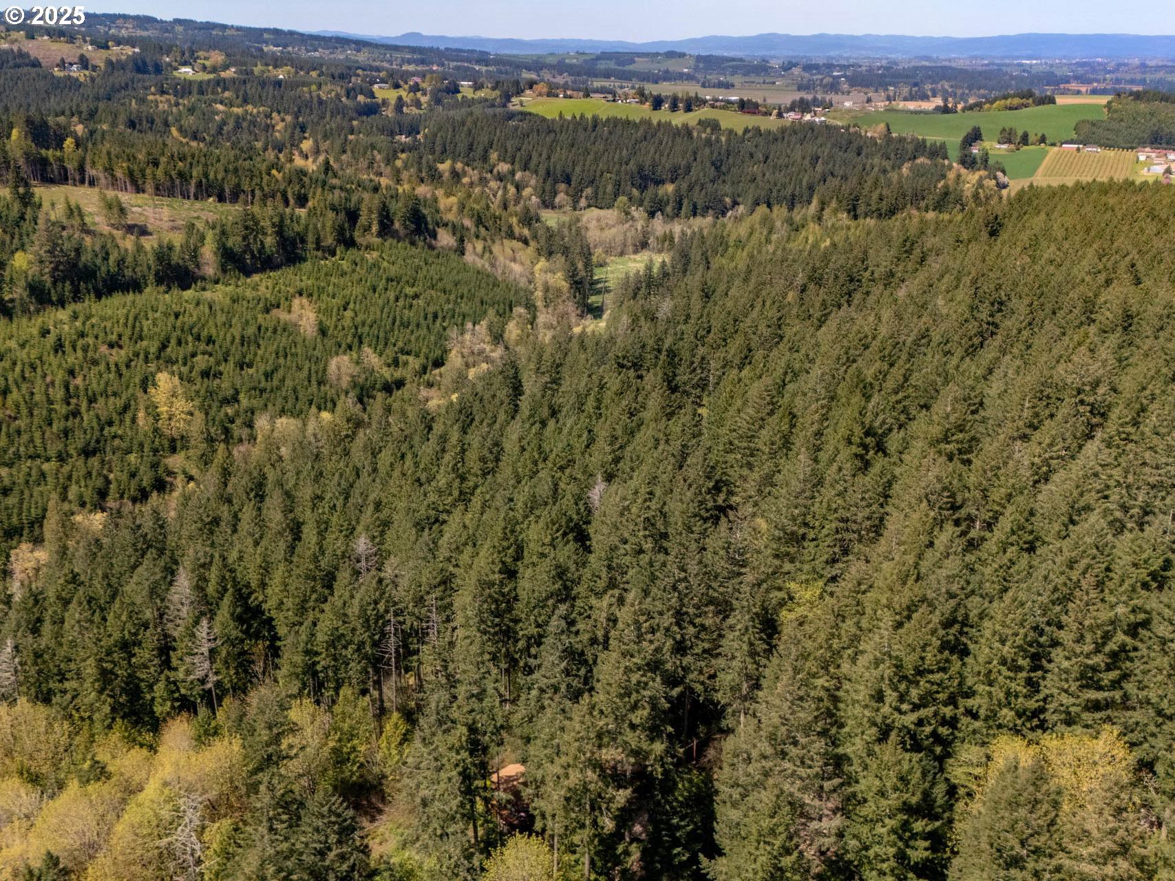 18675 SW FOREST PARK RD