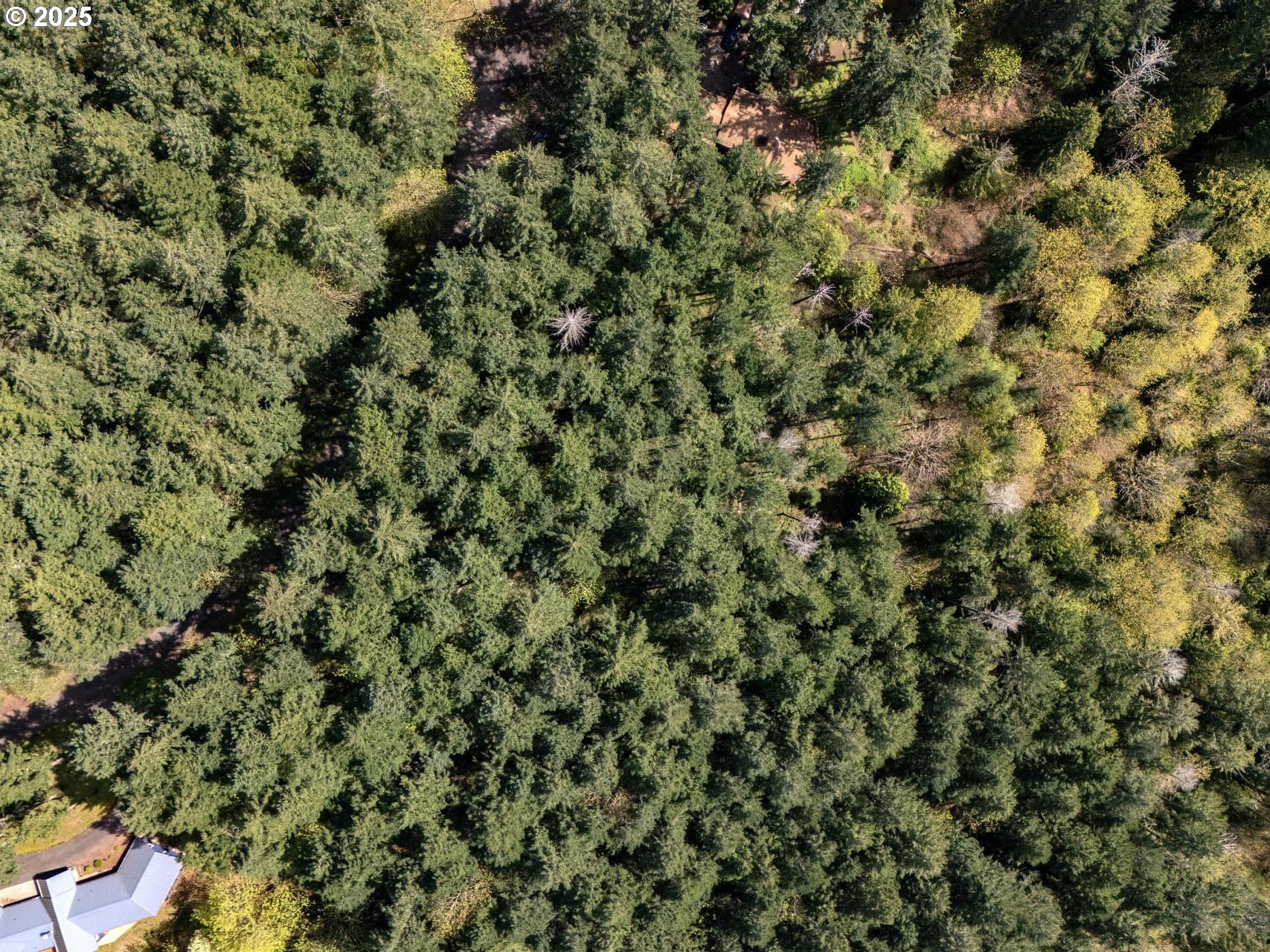 18675 SW FOREST PARK RD