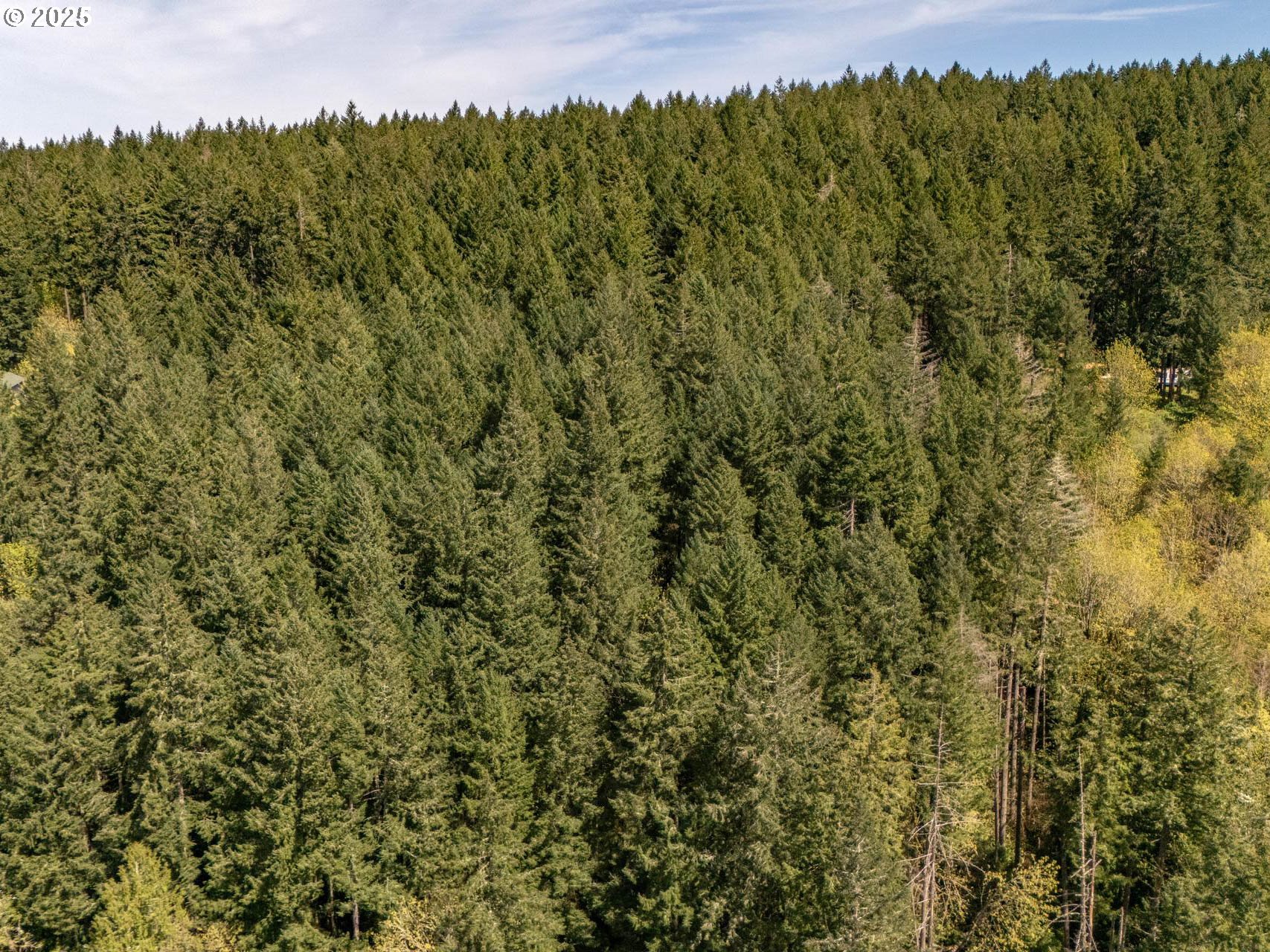 18675 SW FOREST PARK RD