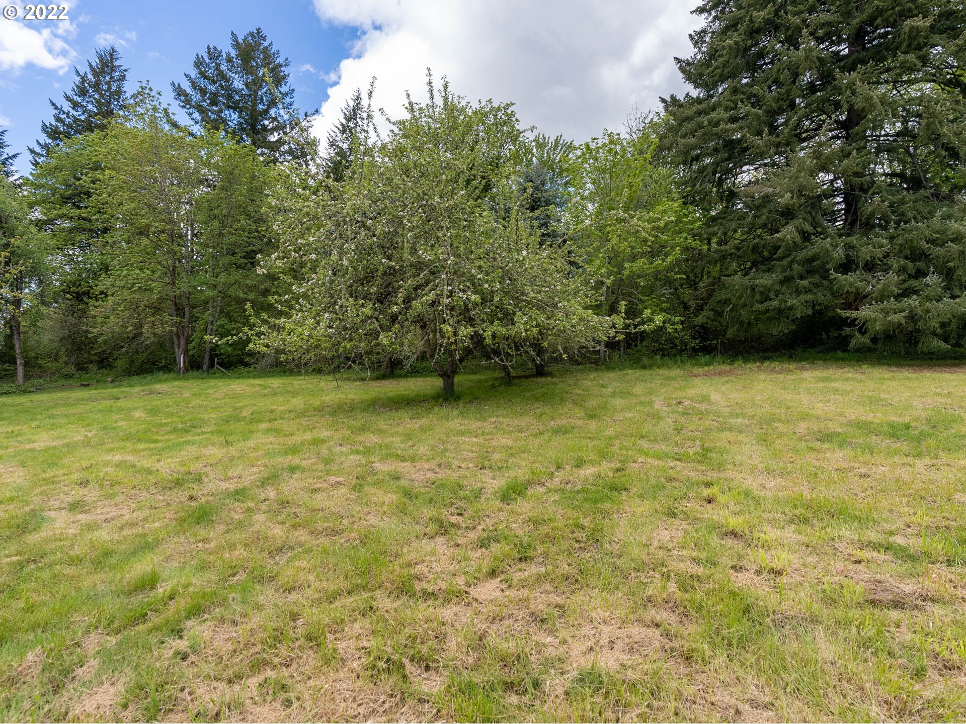 11519 NW LAIDLAW RD