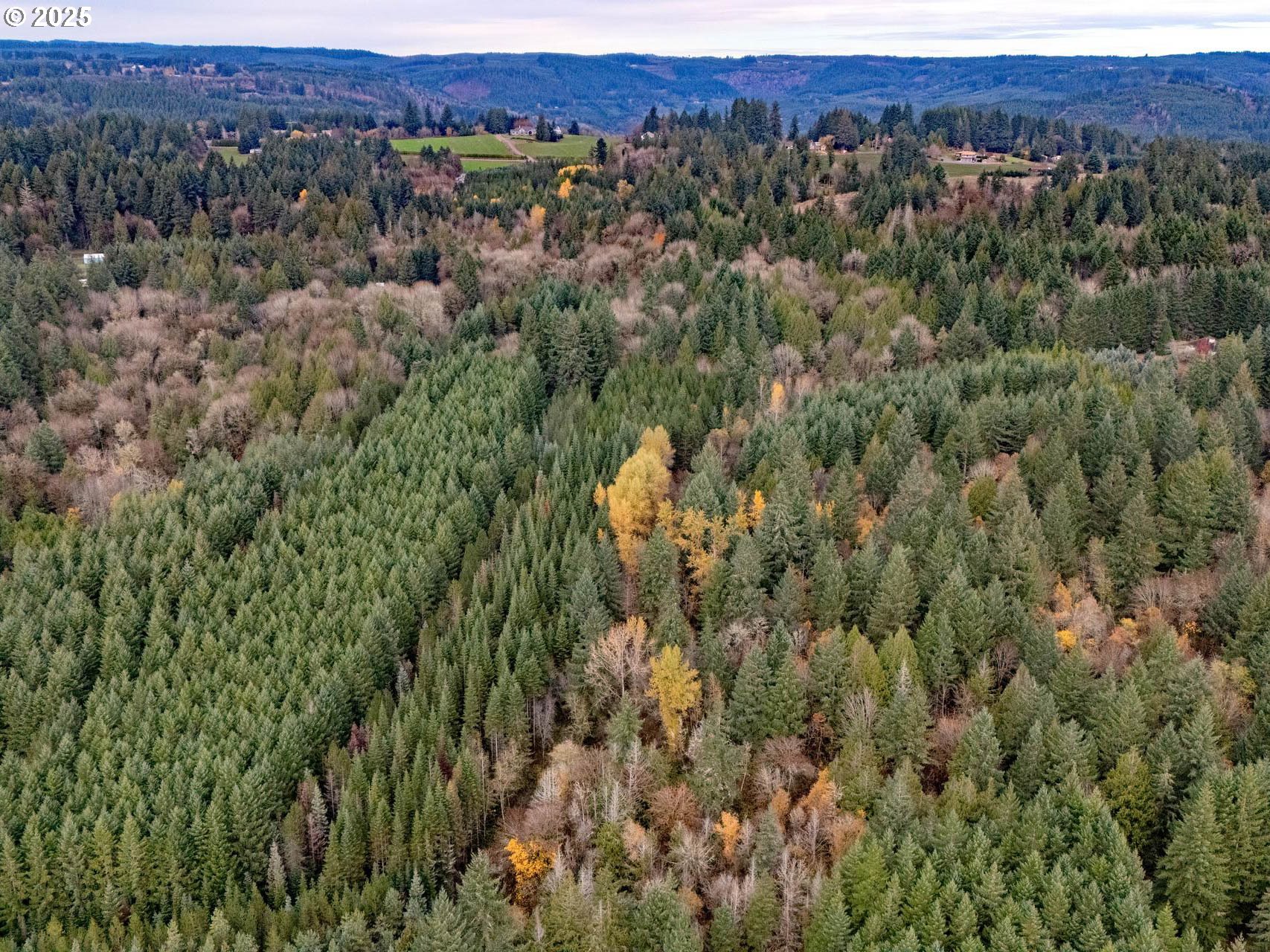 NW Pumpkin Ridge RD