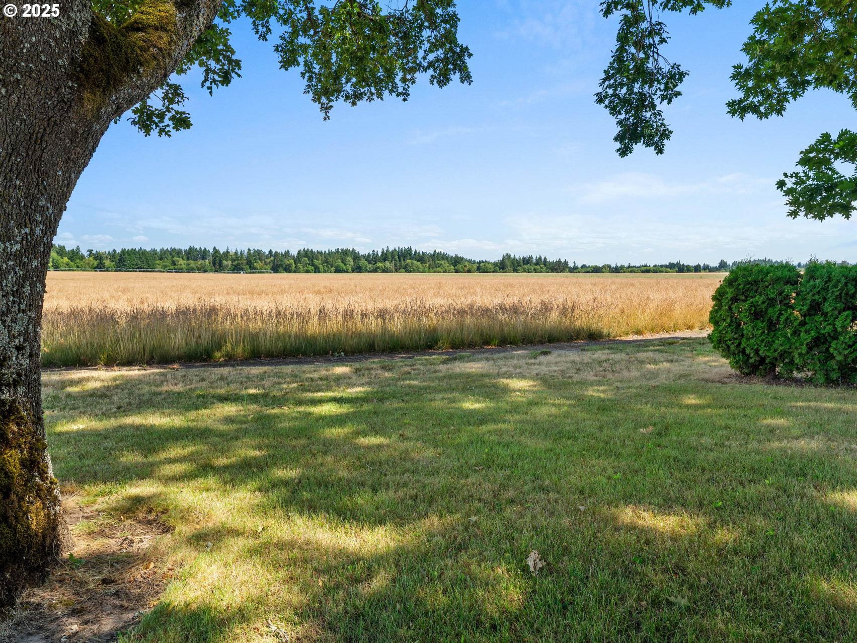 31330 NW SCOTCH CHURCH RD