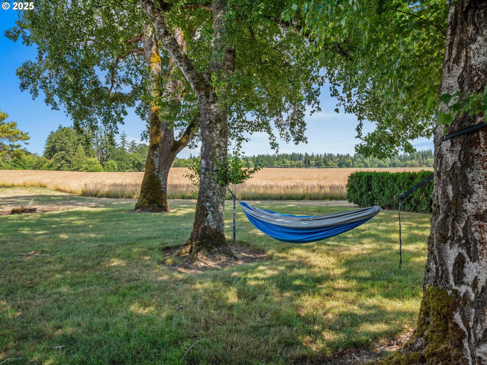 31330 NW SCOTCH CHURCH RD