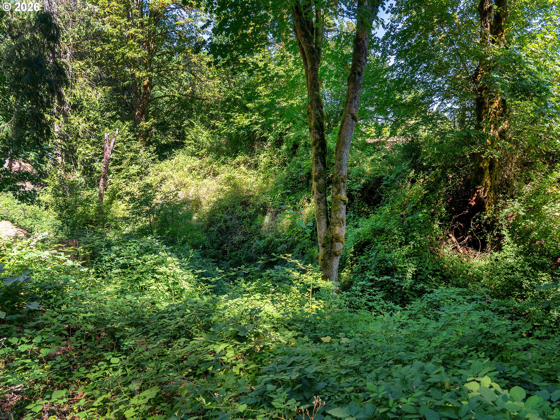 34281 MILLARD RD