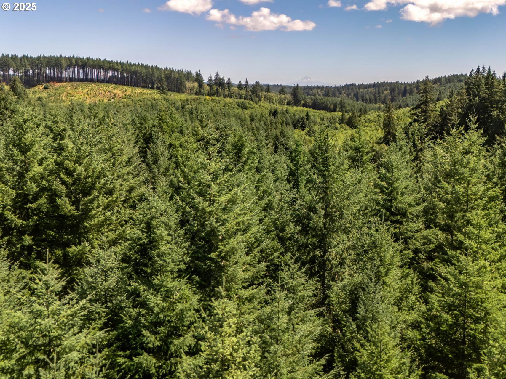 25420 NW PUMPKIN RIDGE RD
