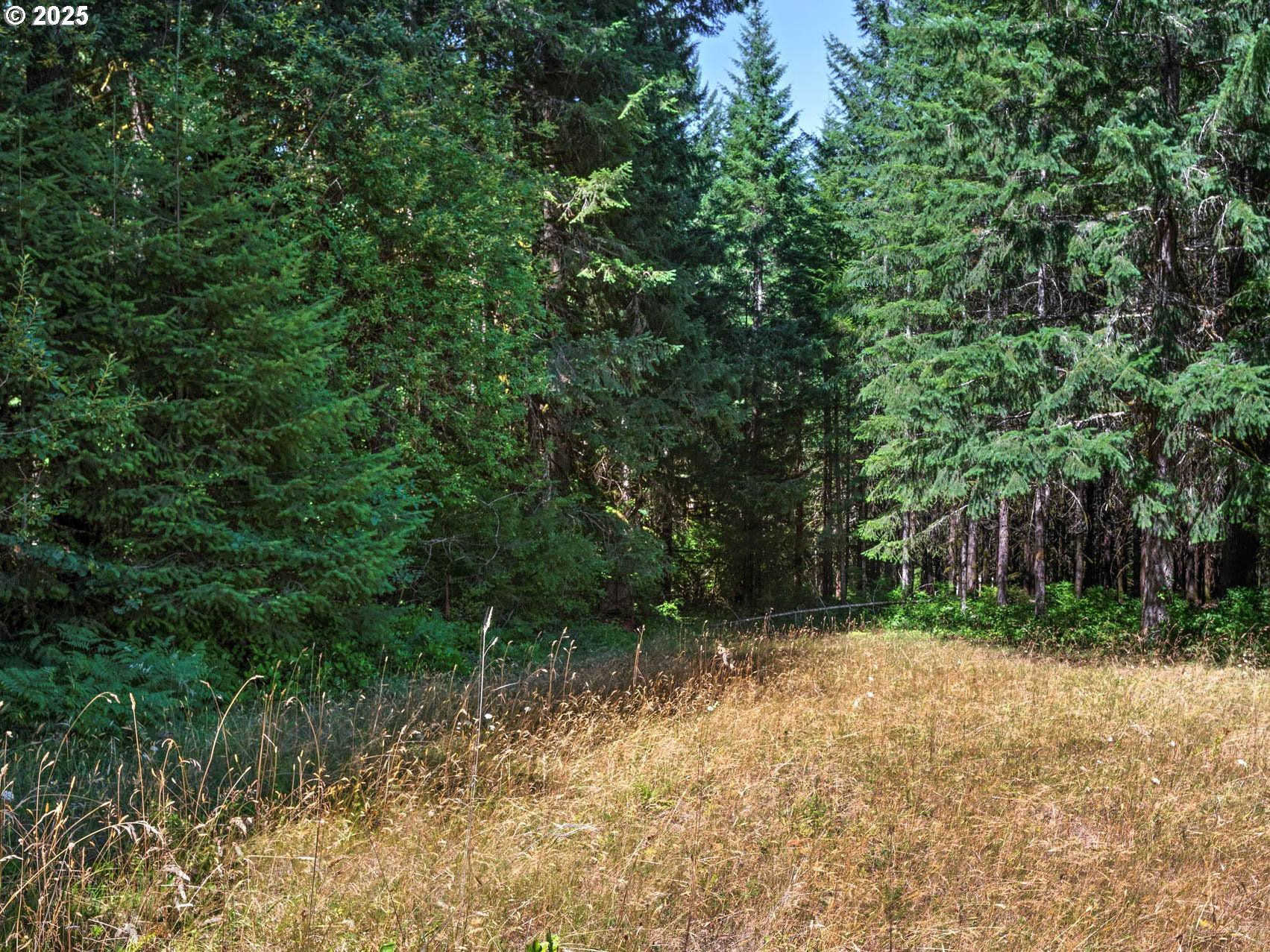 25420 NW PUMPKIN RIDGE RD