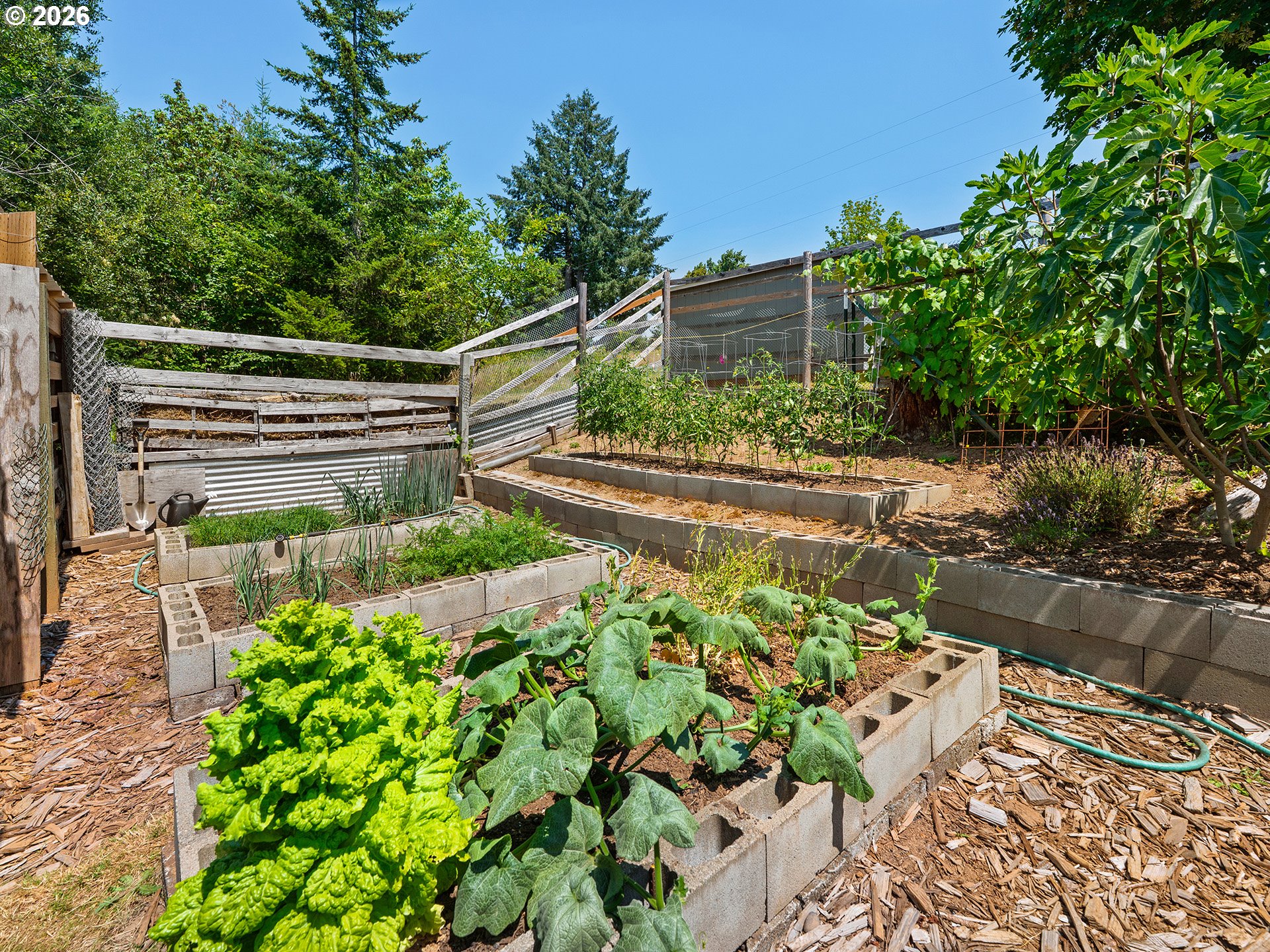 19267 NW PUMPKIN RIDGE RD