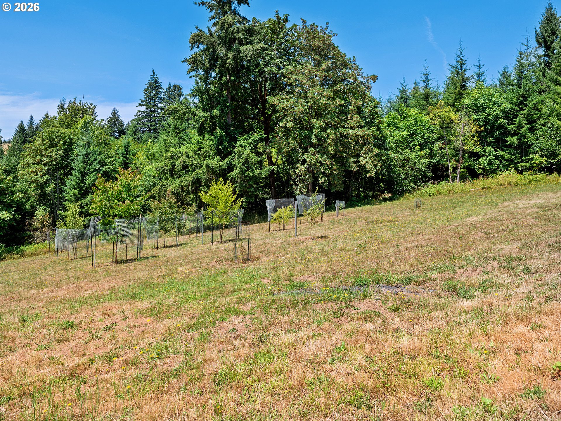 19267 NW PUMPKIN RIDGE RD
