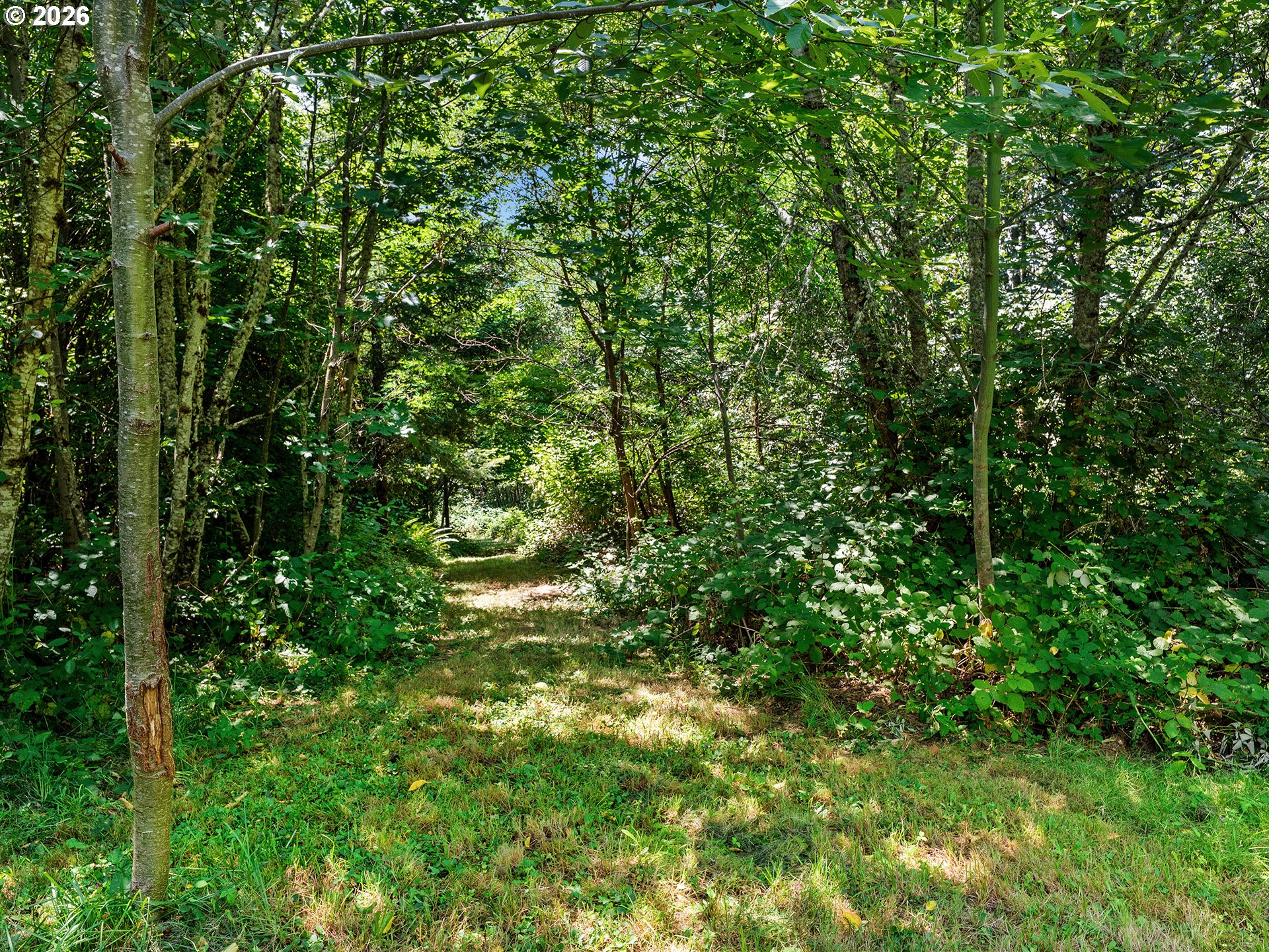 19267 NW PUMPKIN RIDGE RD