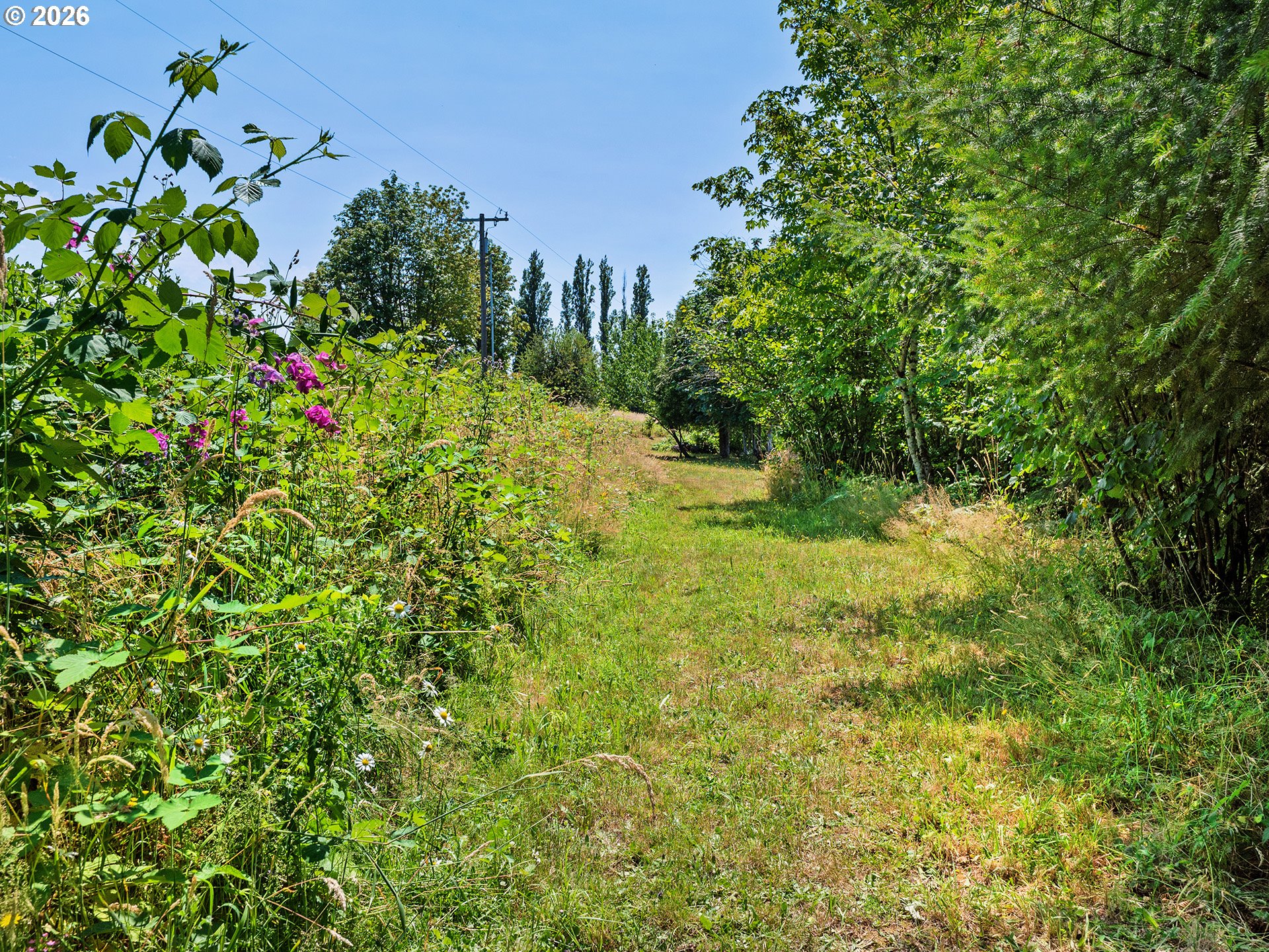 19267 NW PUMPKIN RIDGE RD