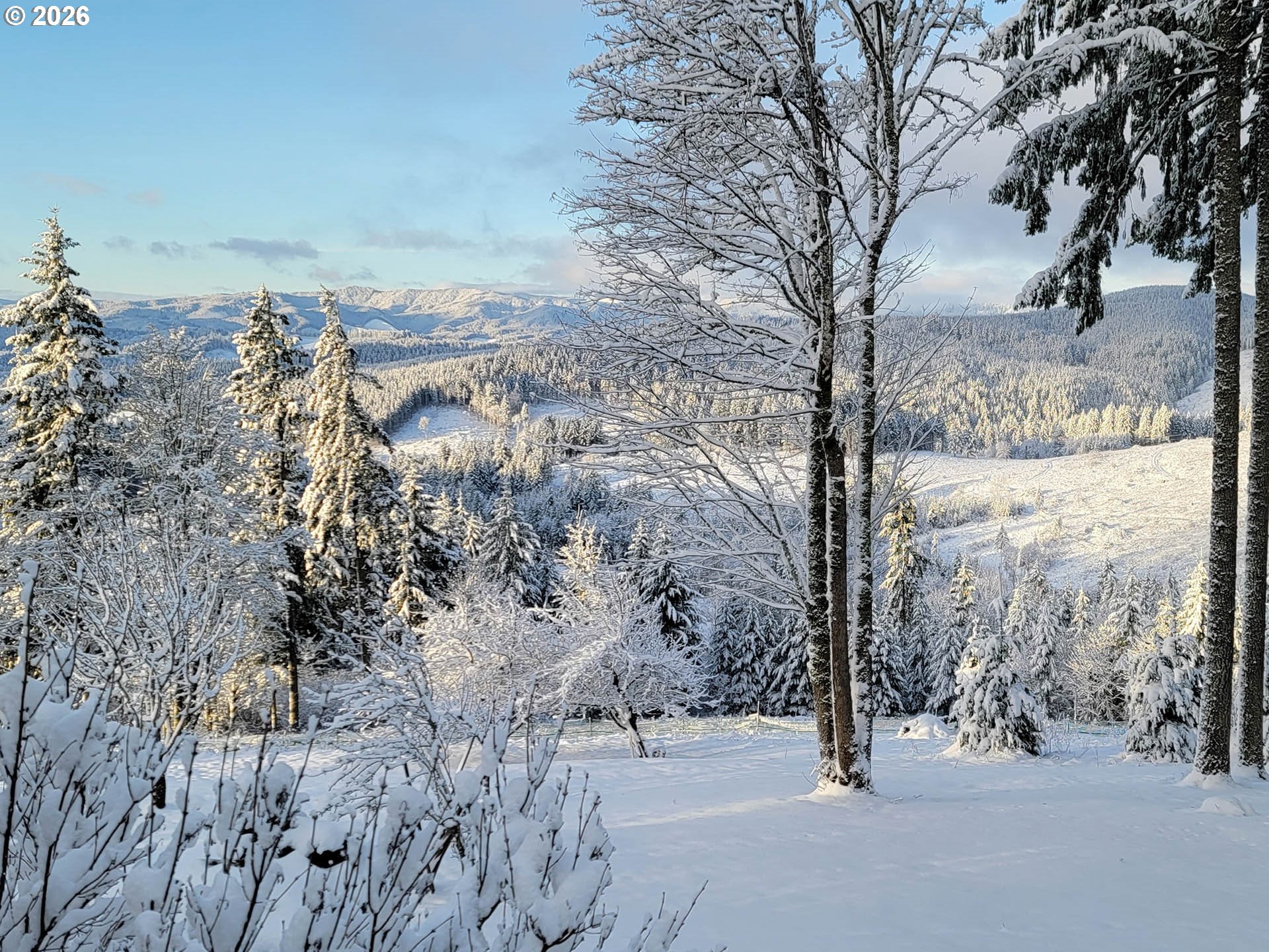 45045 NW ELK MOUNTAIN RD