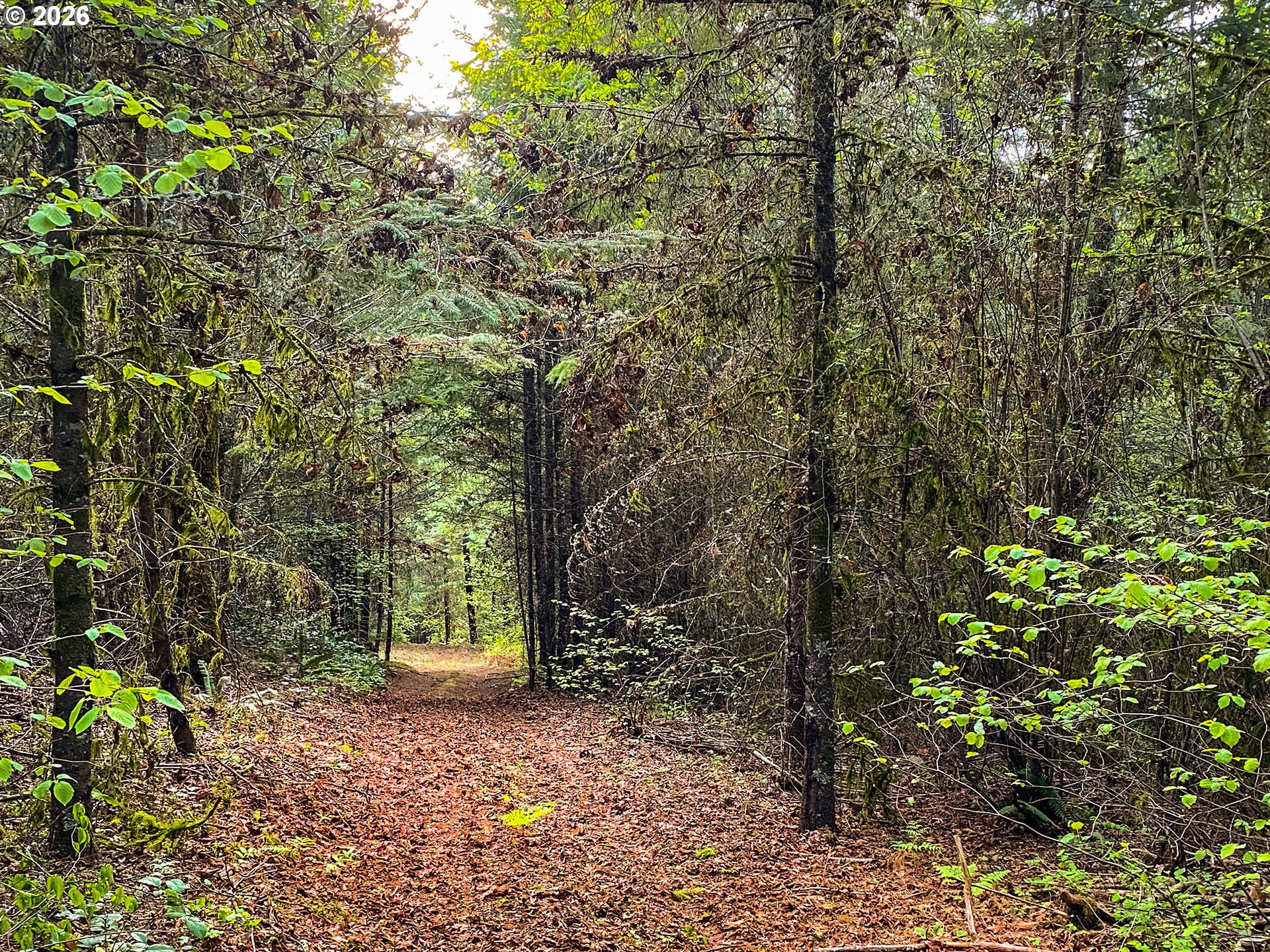 45045 NW ELK MOUNTAIN RD