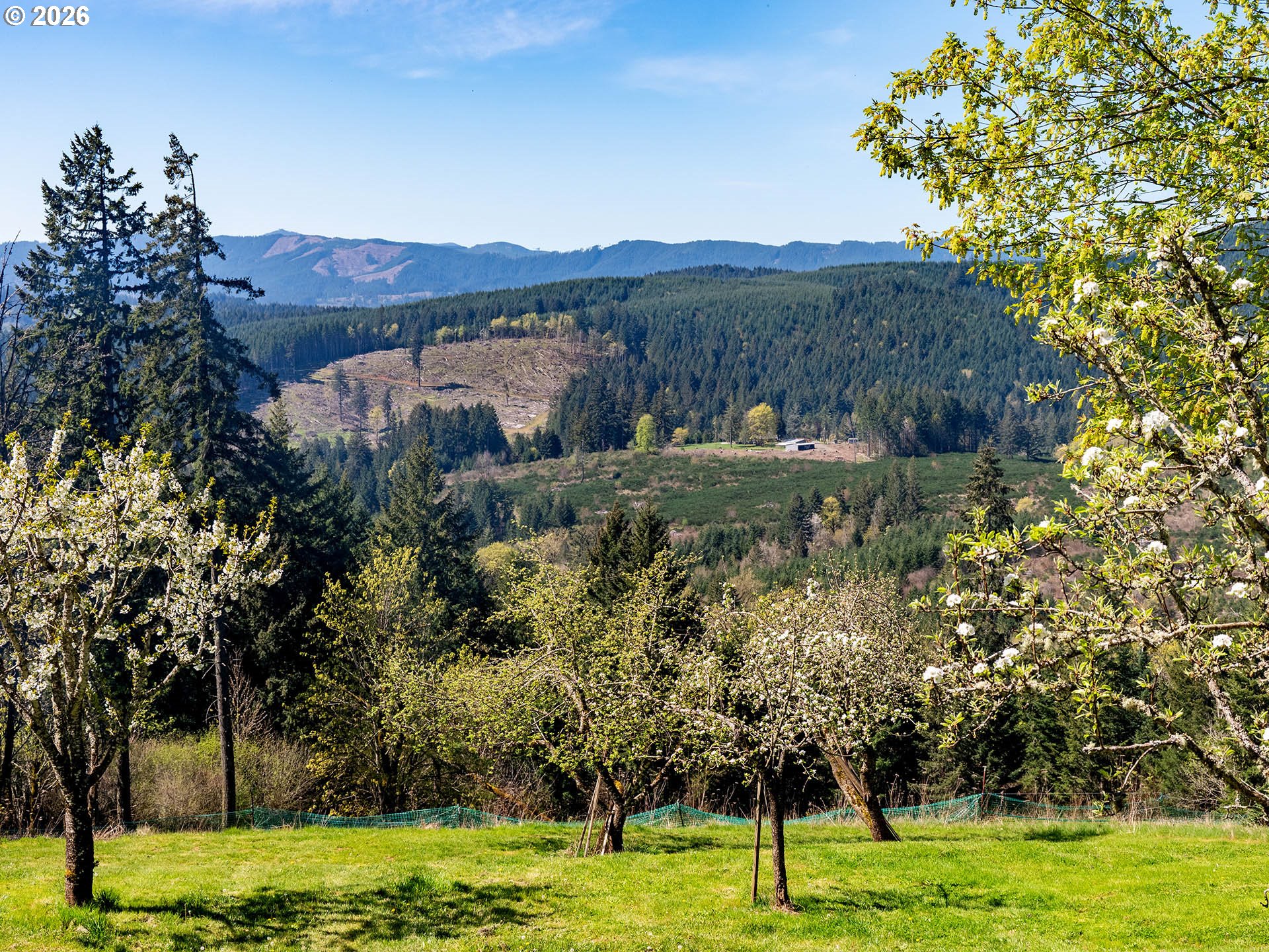 45045 NW ELK MOUNTAIN RD