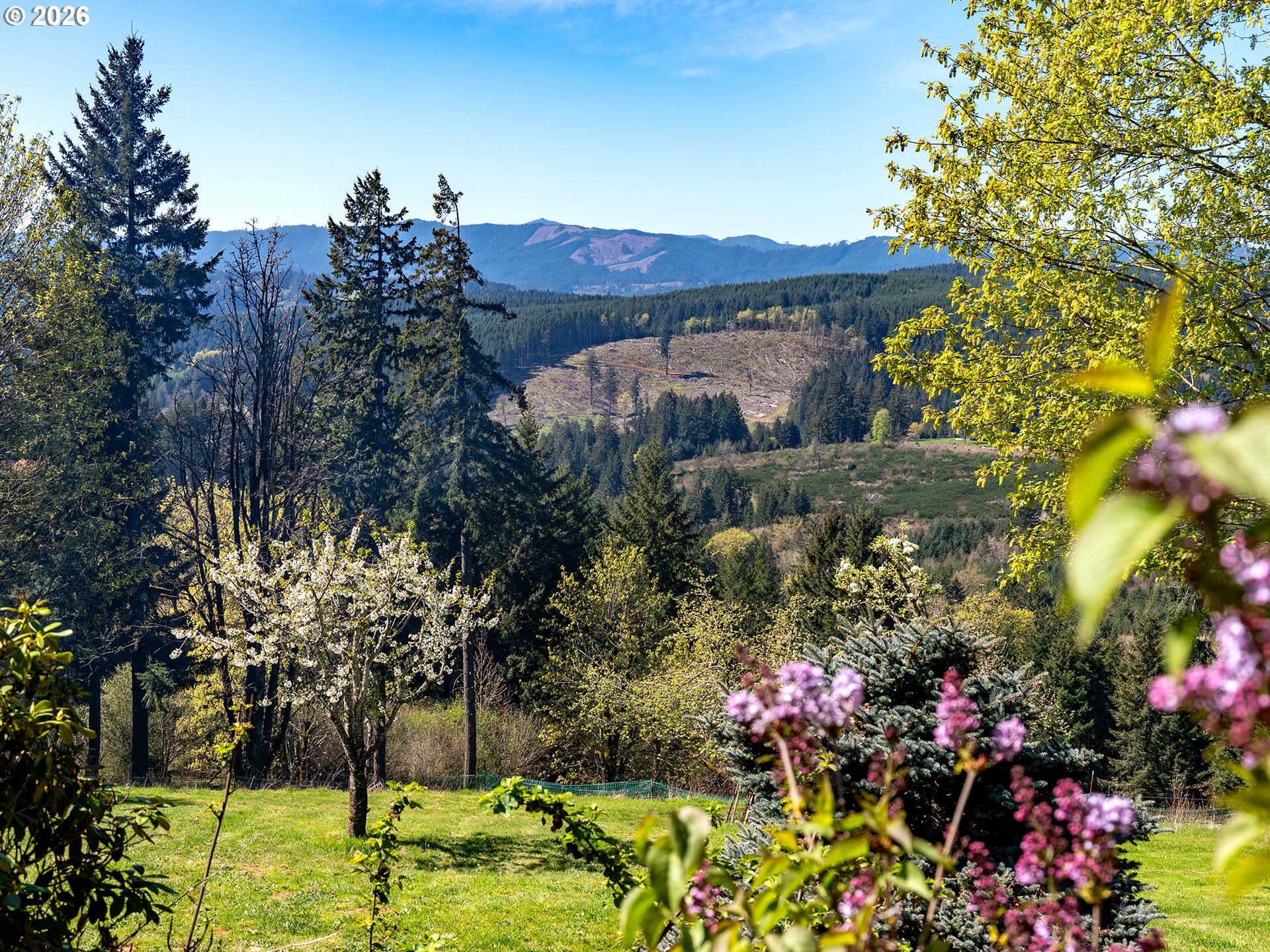 45045 NW ELK MOUNTAIN RD