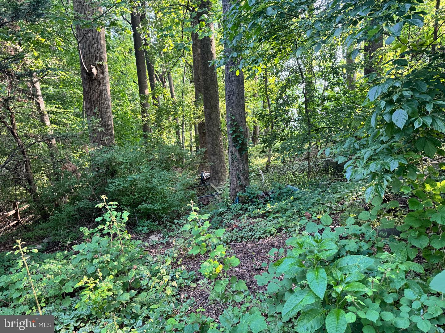701 Hillen Rd