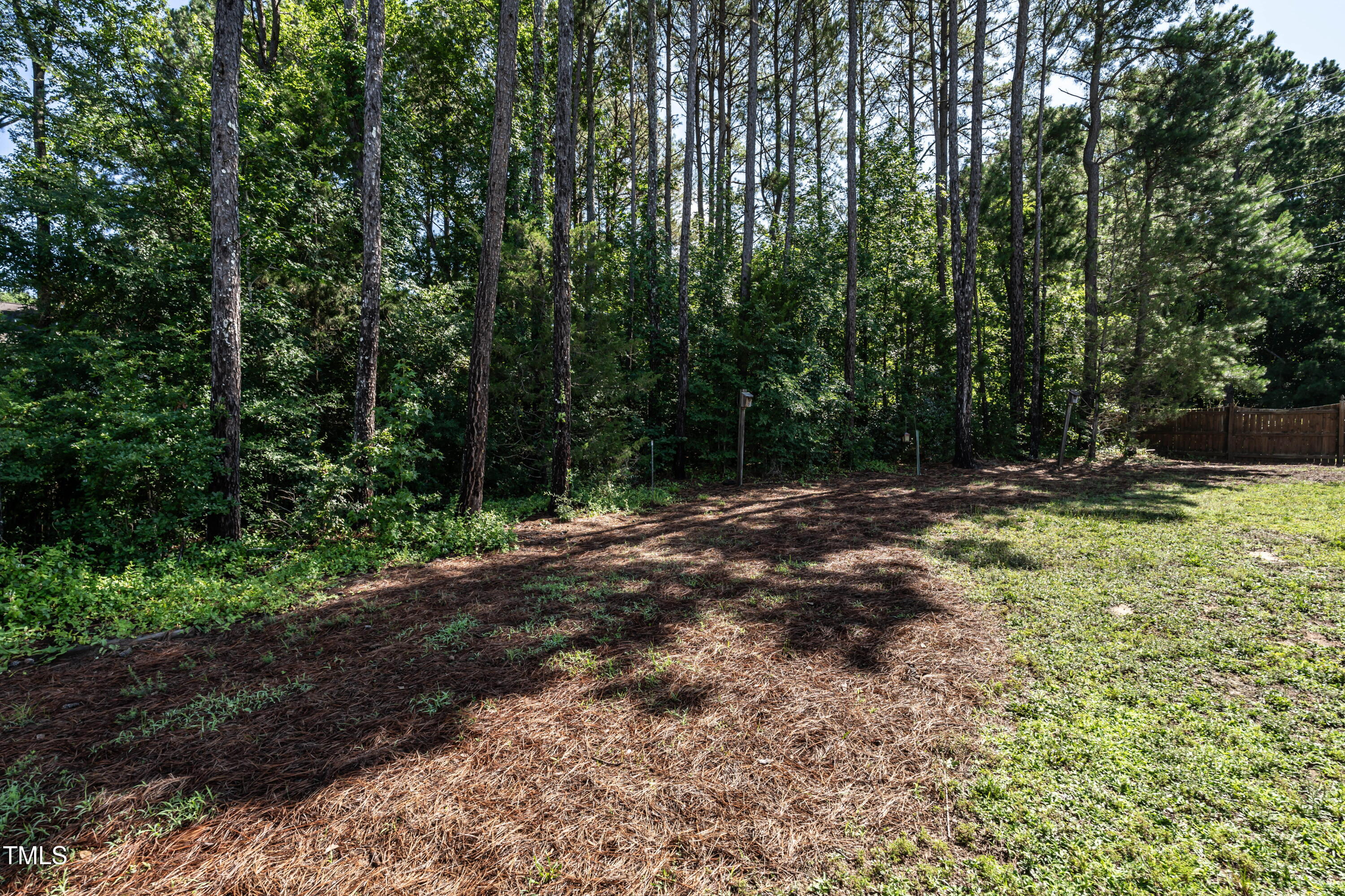 3045 Creek Moss Avenue