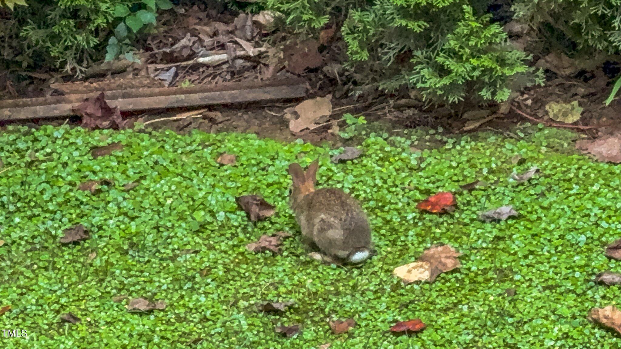 7845 Harps Mill Woods Run