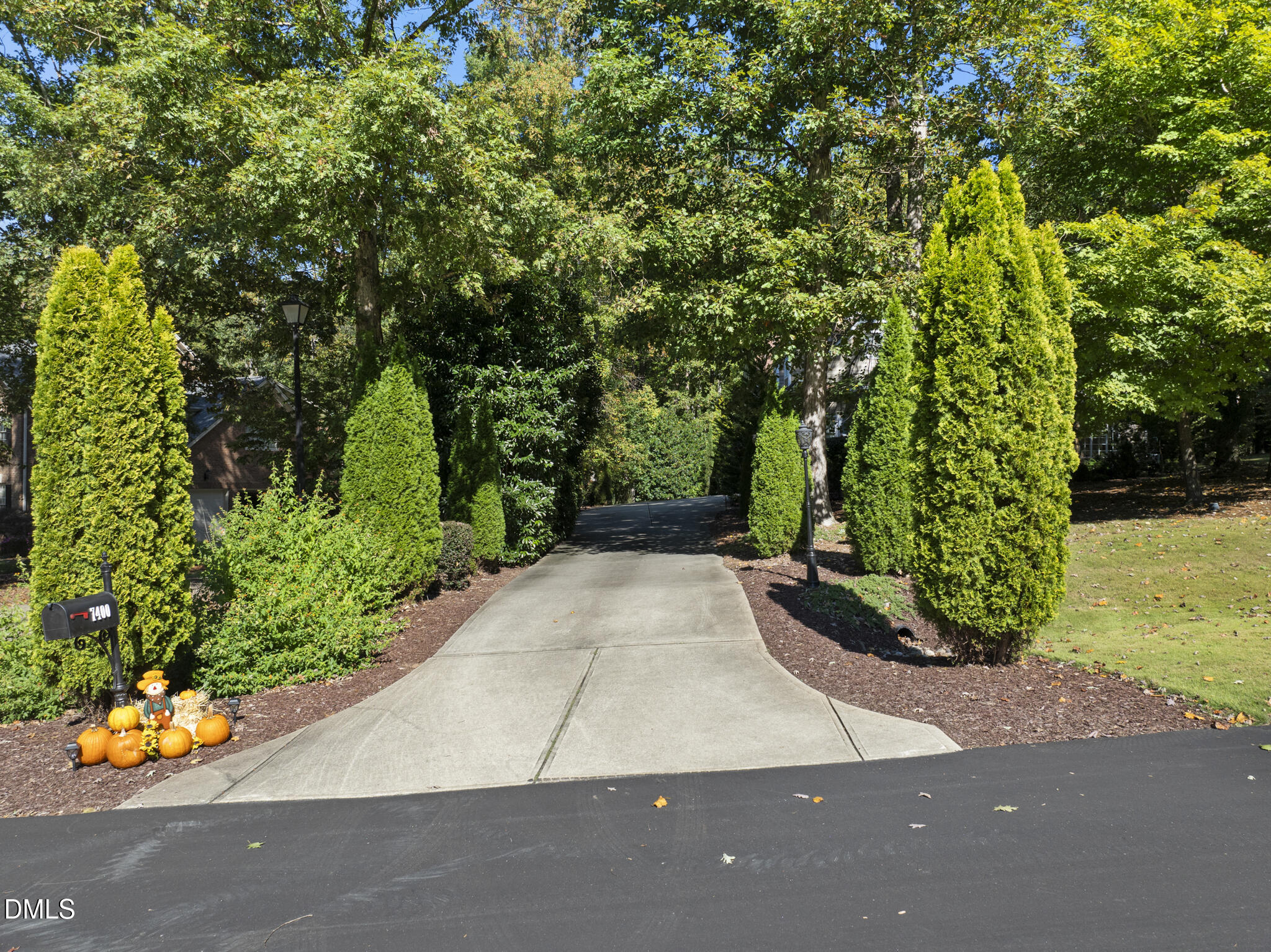 7400 New Forest Lane