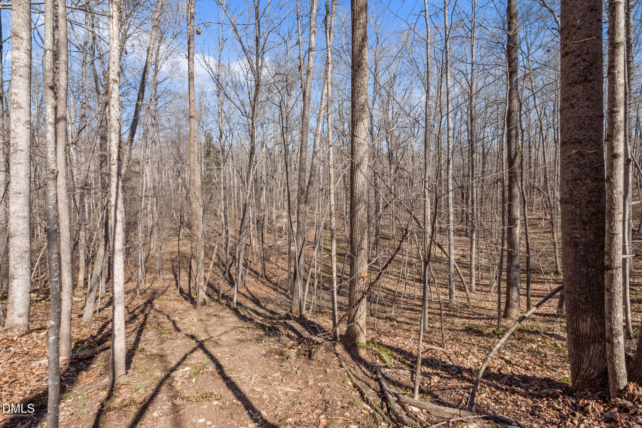 8514 Charlie Stovall Road