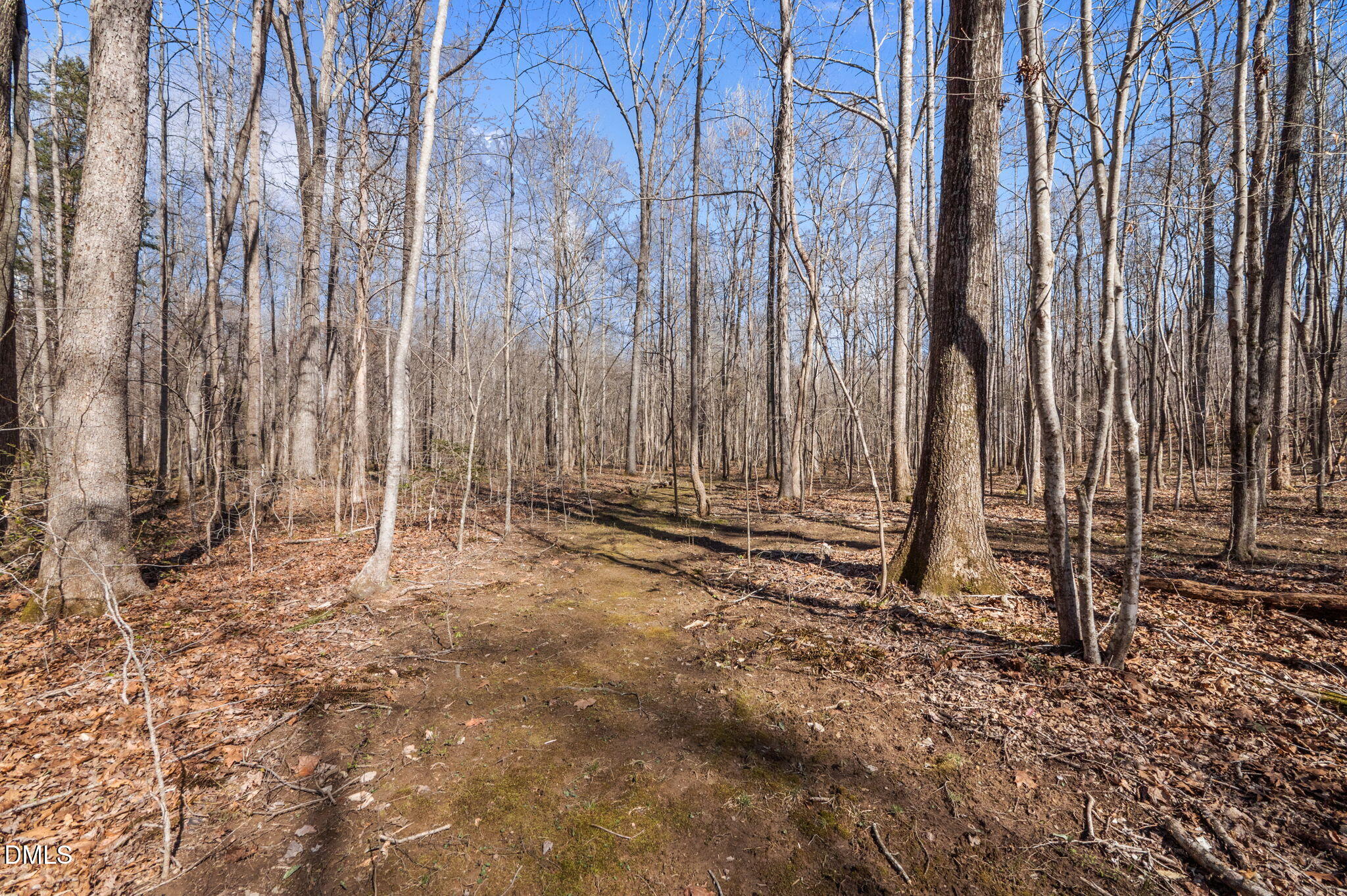 8514 Charlie Stovall Road